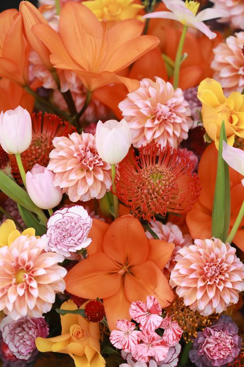 Free Colorful floral bouquet showcasing a variety of flowers including lilies, daisies, and tulips, creating a vivid display. Stock Photo