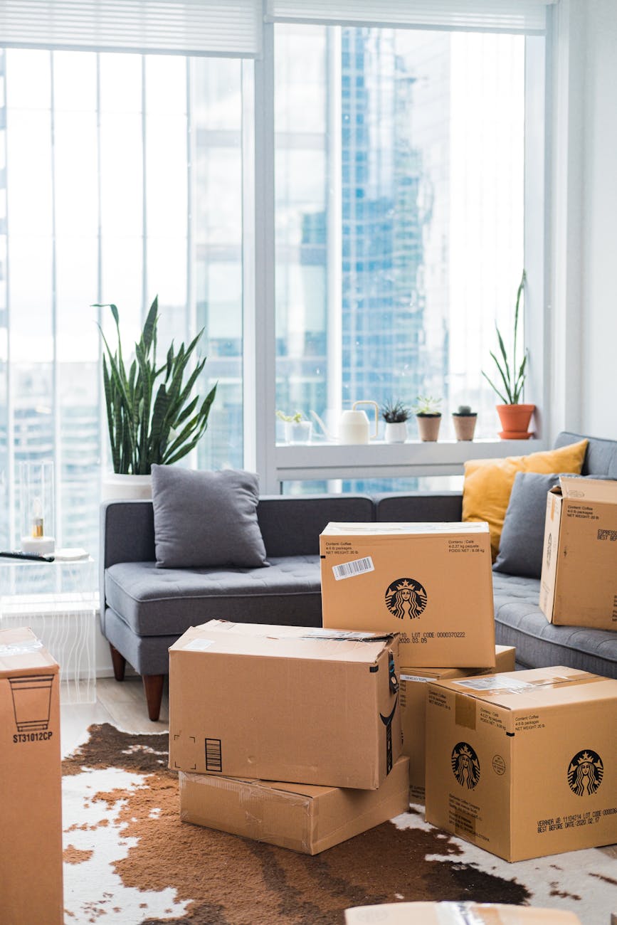 Cardboard boxes on a living room floor that contain camping gear that's been organized, stored and cleaned