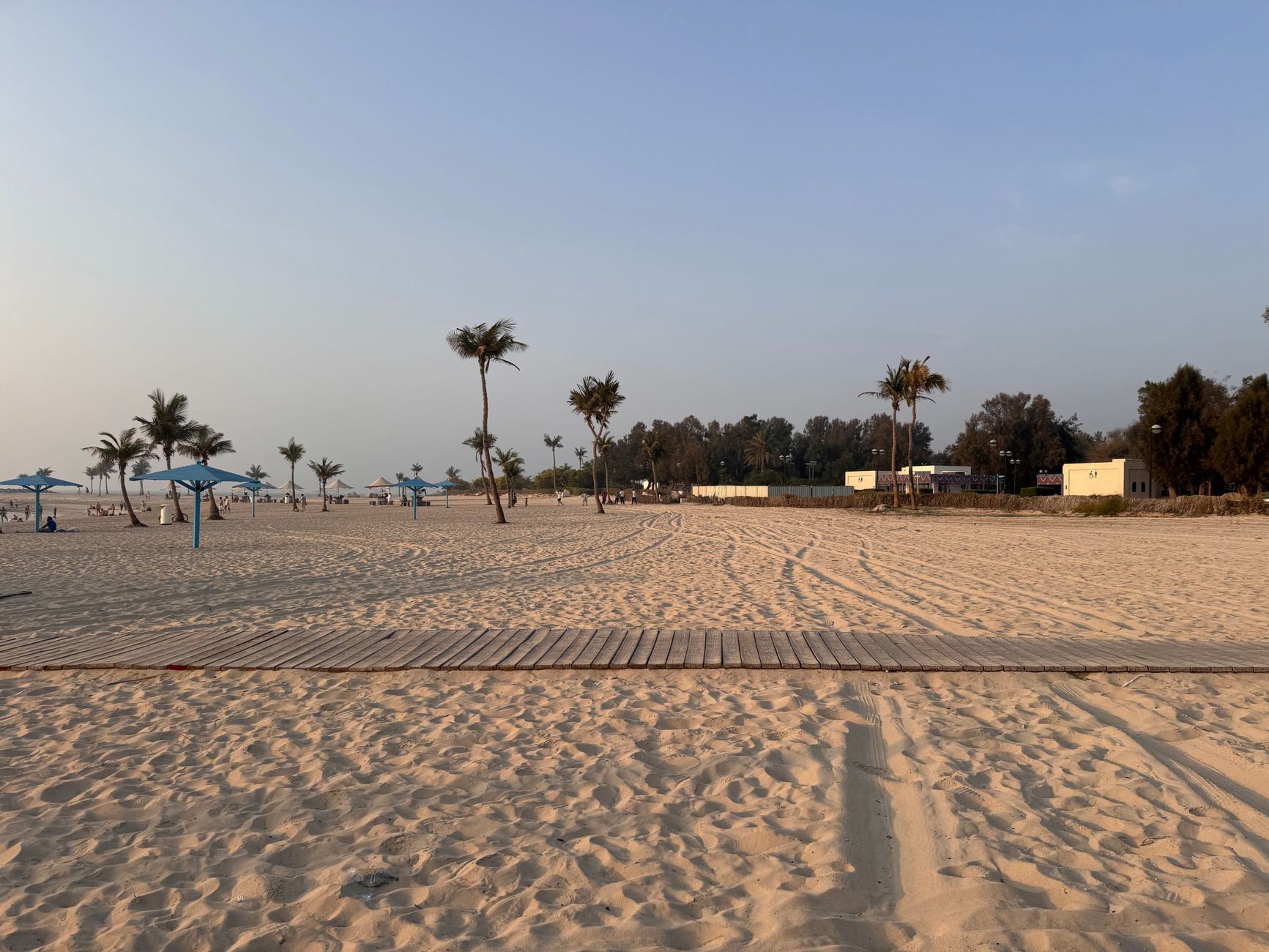 Serene view of Al Mamzar Beach with palm trees during a tranquil sunset in Dubai.