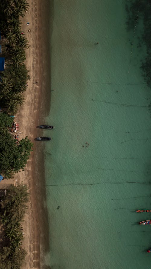 Free Aerial Photo of Shore Stock Photo