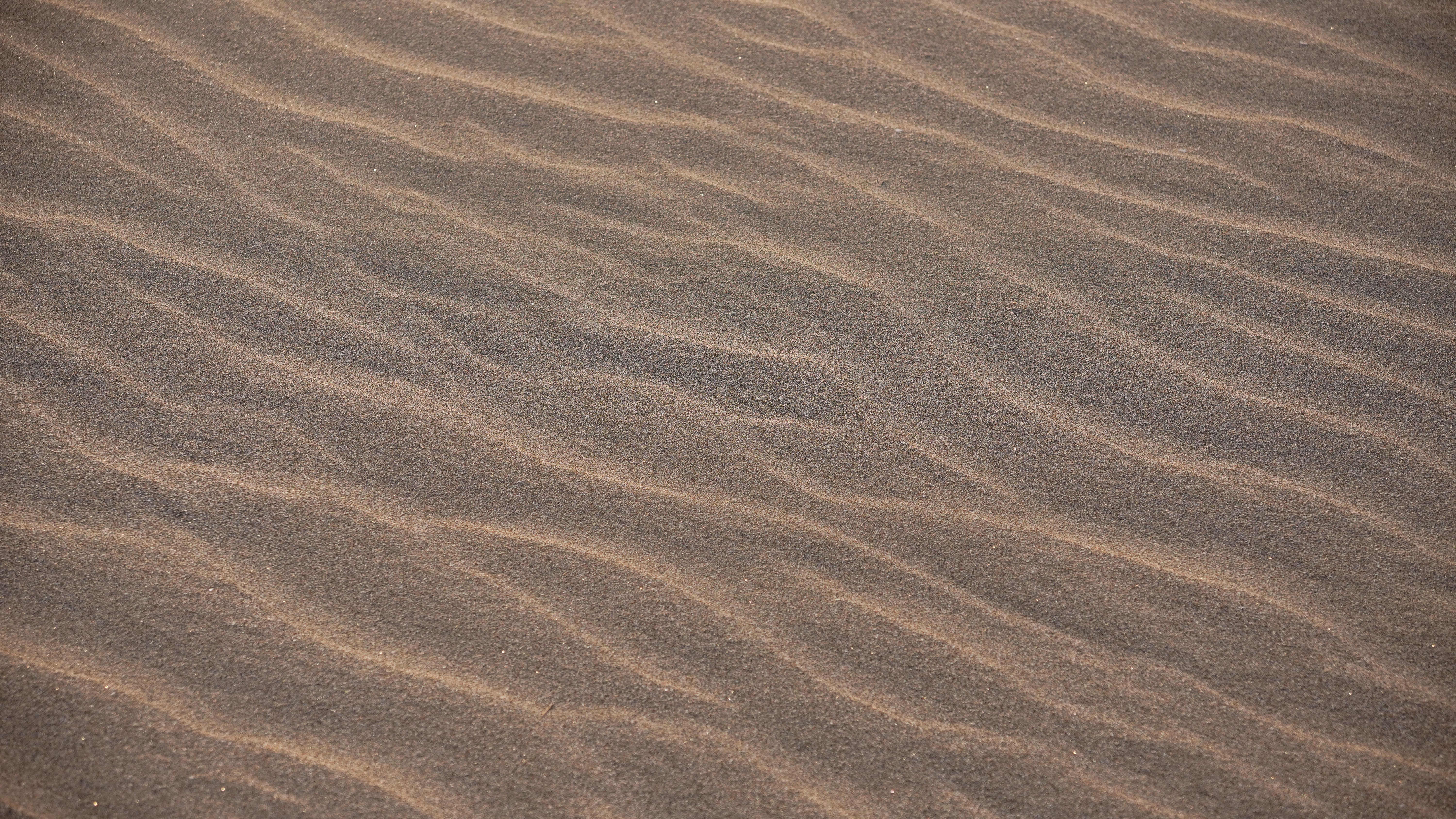 Textured Sand Ripples at Sunset Beach · Free Stock Photo
