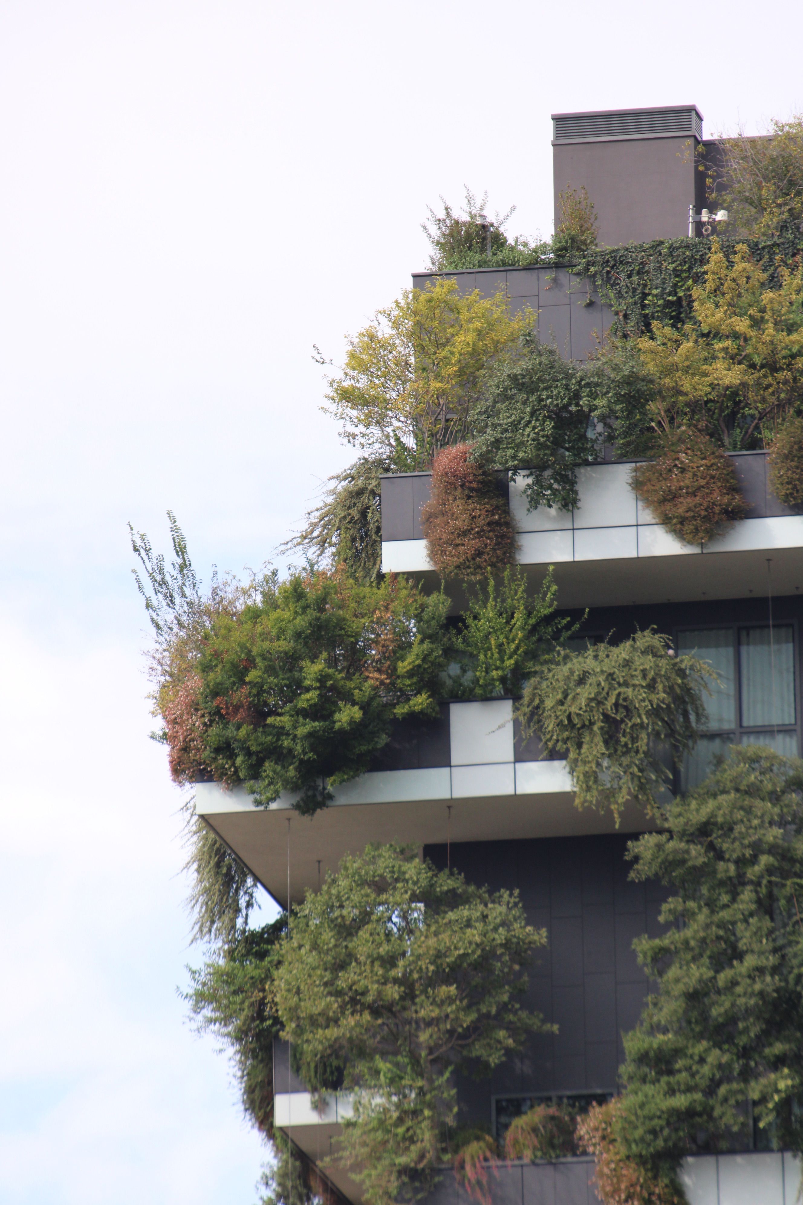 Living Green