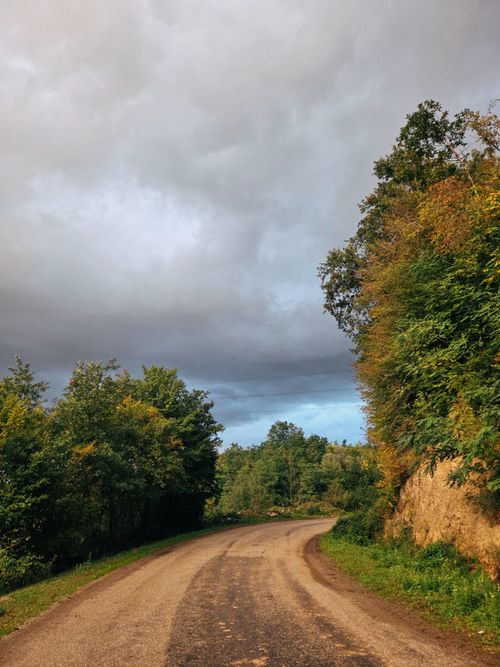 Free Serene winding road amidst lush greenery under a dramatic sky in Samsun, Türkiye. Stock Photo