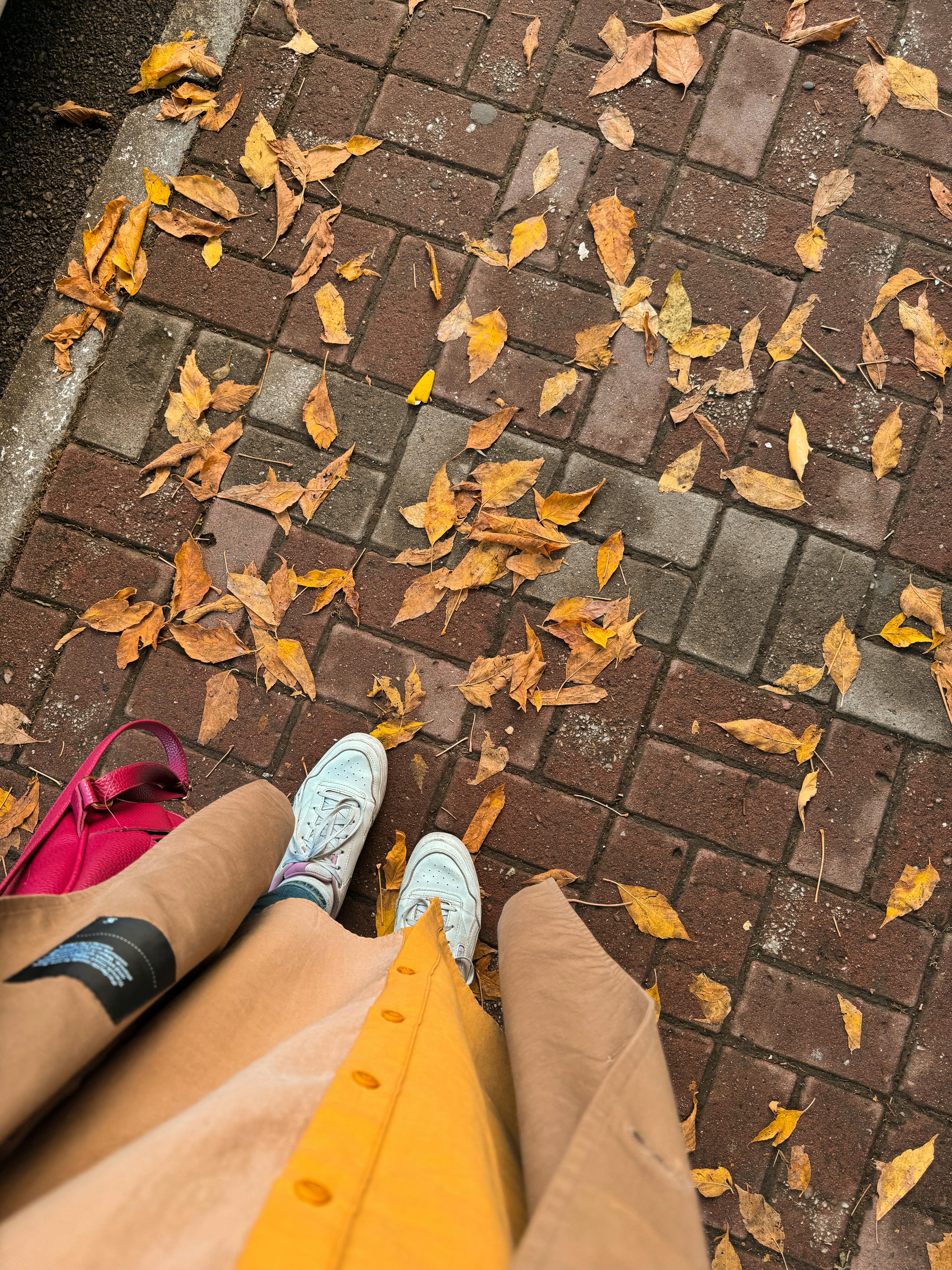 Overhead view of autumn leaves on a brick sidewalk with stylish shoes and outfit.