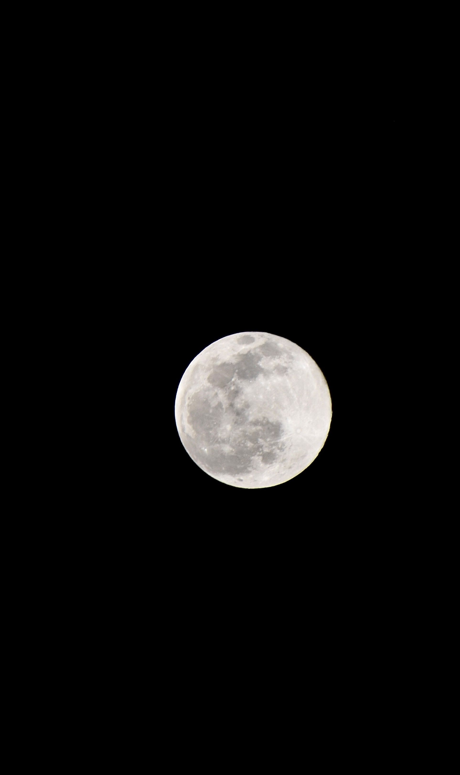 Bright Full Moon Against Black Night Sky · Free Stock Photo
