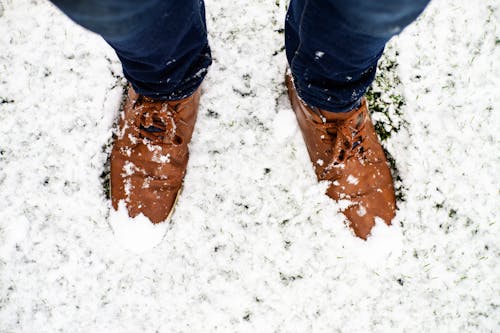 Gratis stockfoto met aarde, bovenaanzicht, bruine schoenen