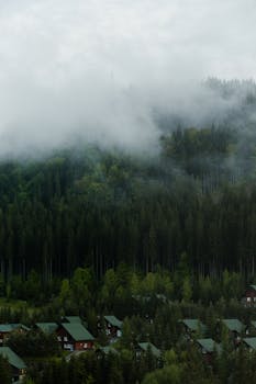 Foggy Carpathian landscape with lush forest and cozy cabins in Bukovel.