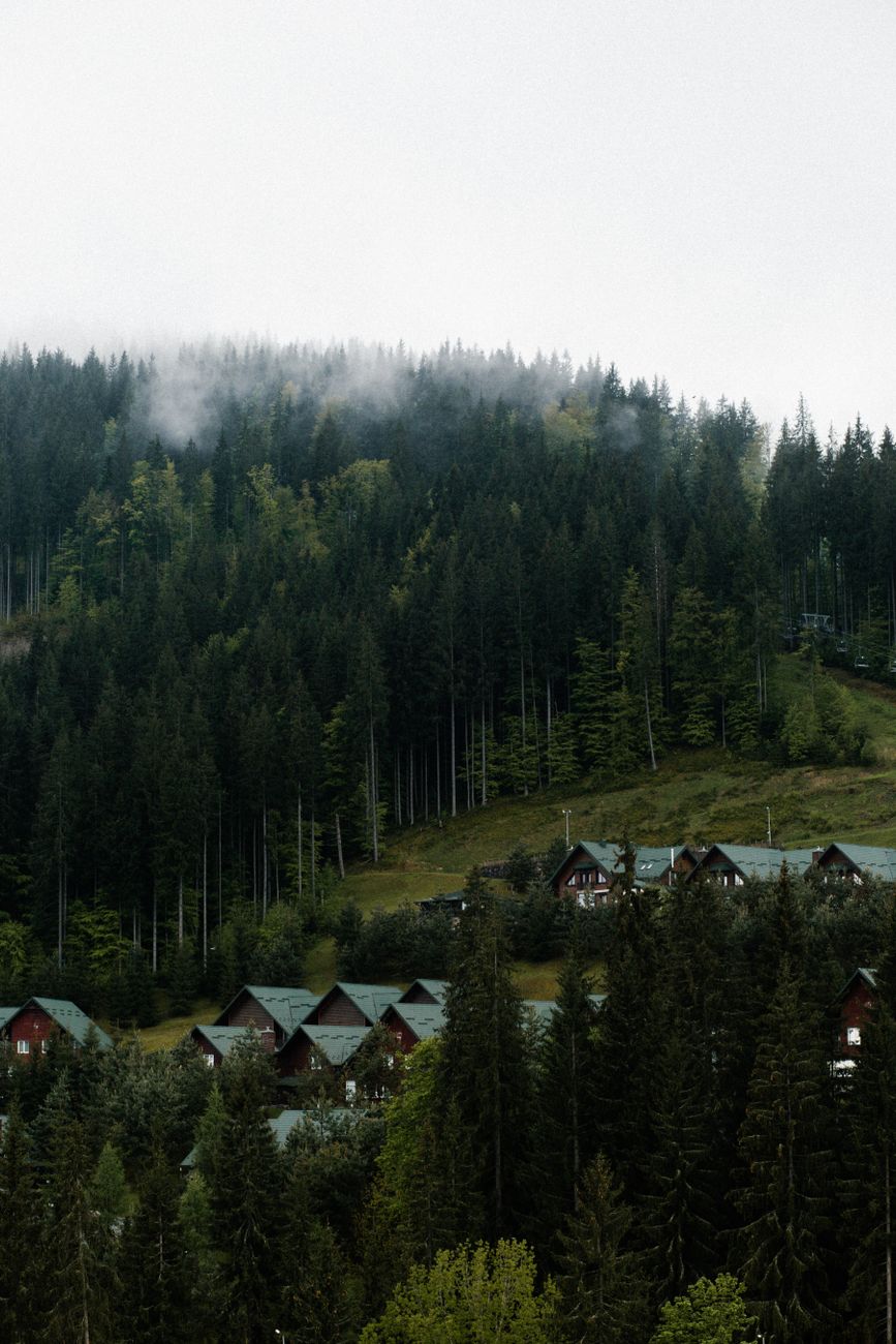 Charming village nestled in the misty Carpathians, Bukovel, showcasing rustic cabins and lush forests.