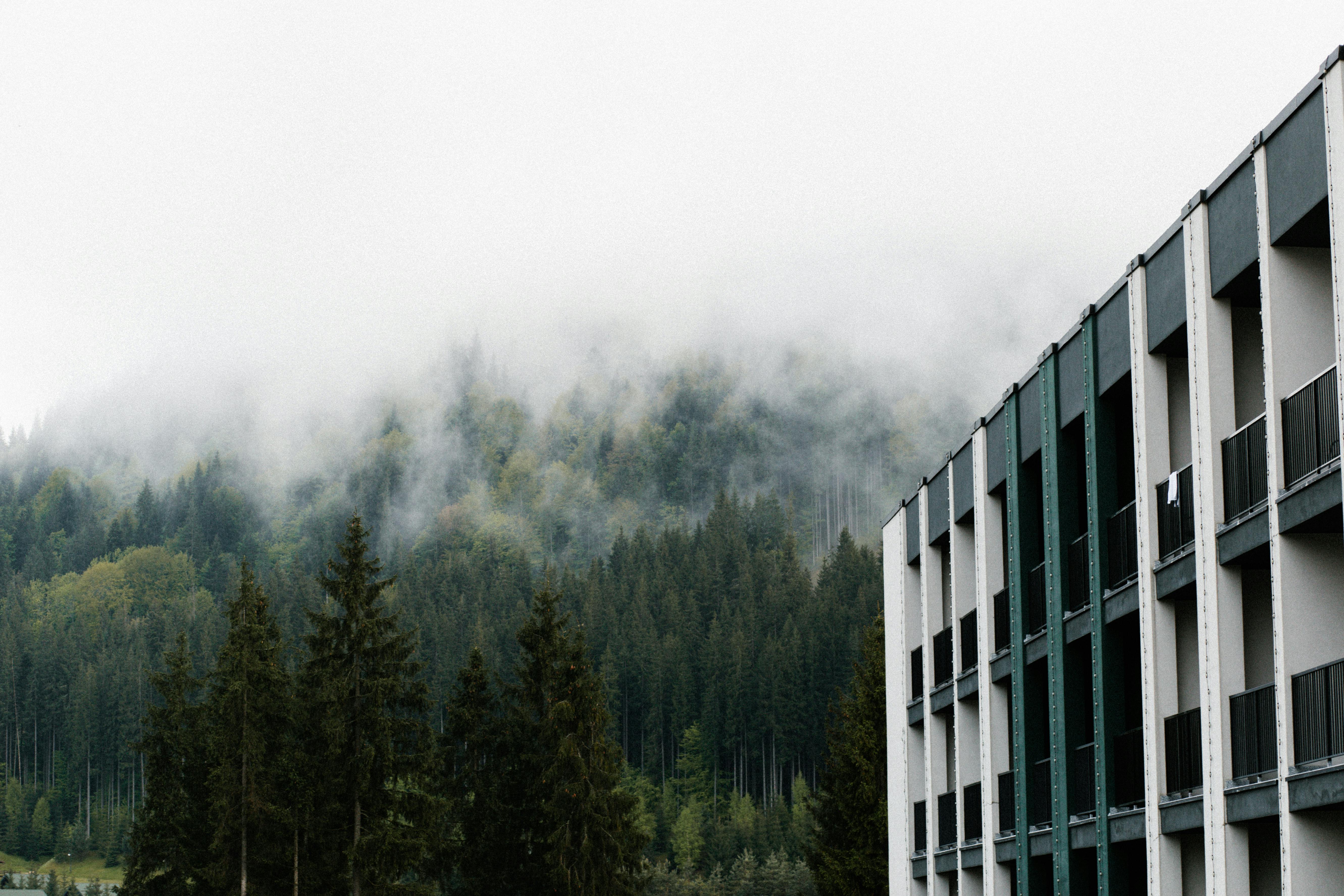高雄陽明生活圈福鑫無雙 都更綠建築智慧耐震宅亮相
