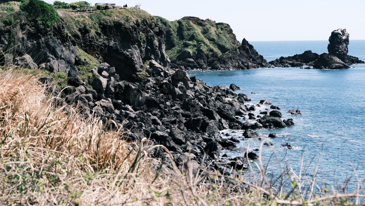 See the Coast