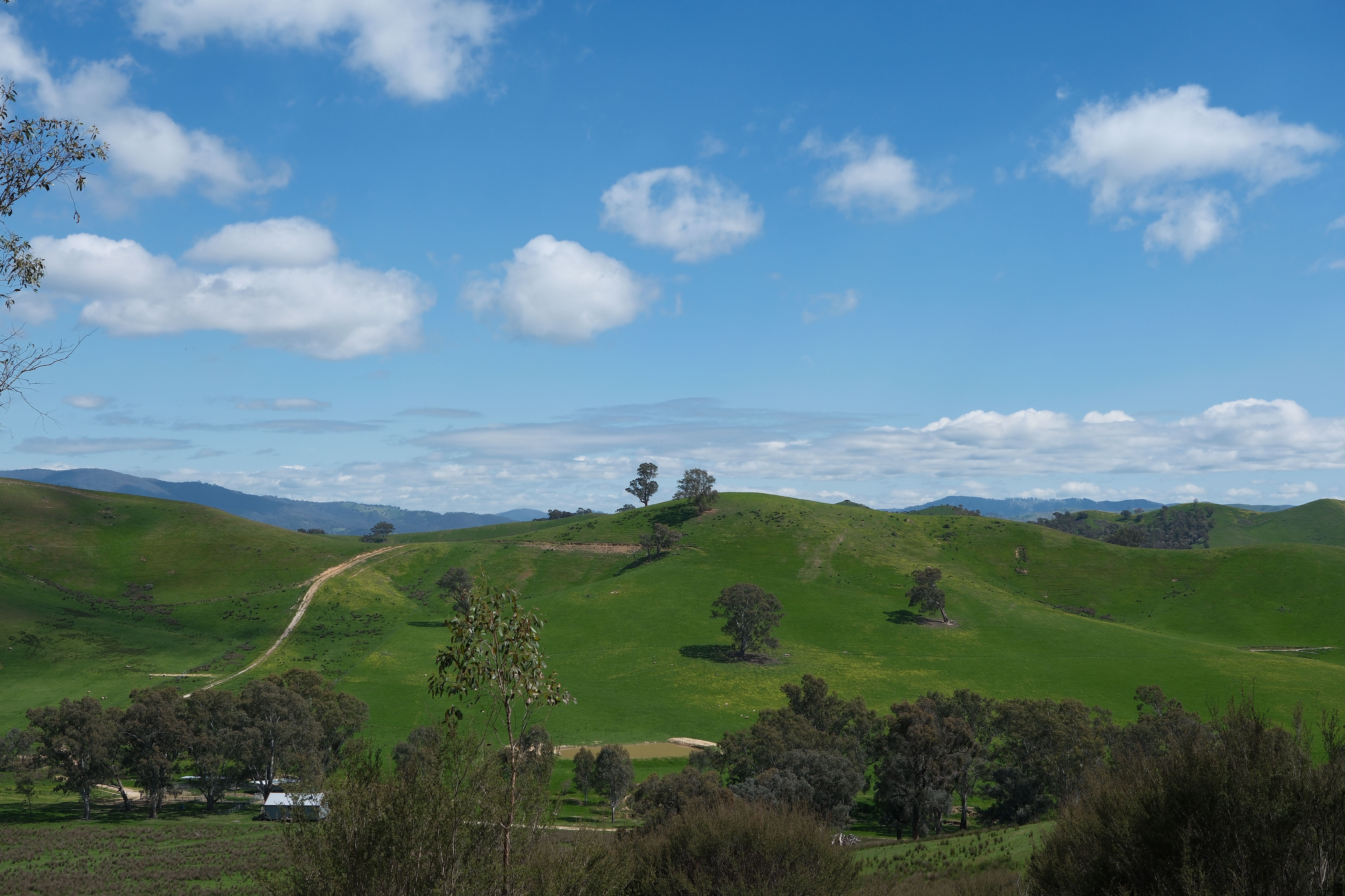 Lush Green Hills Under Blue Sky with Clouds · Free Stock Photo