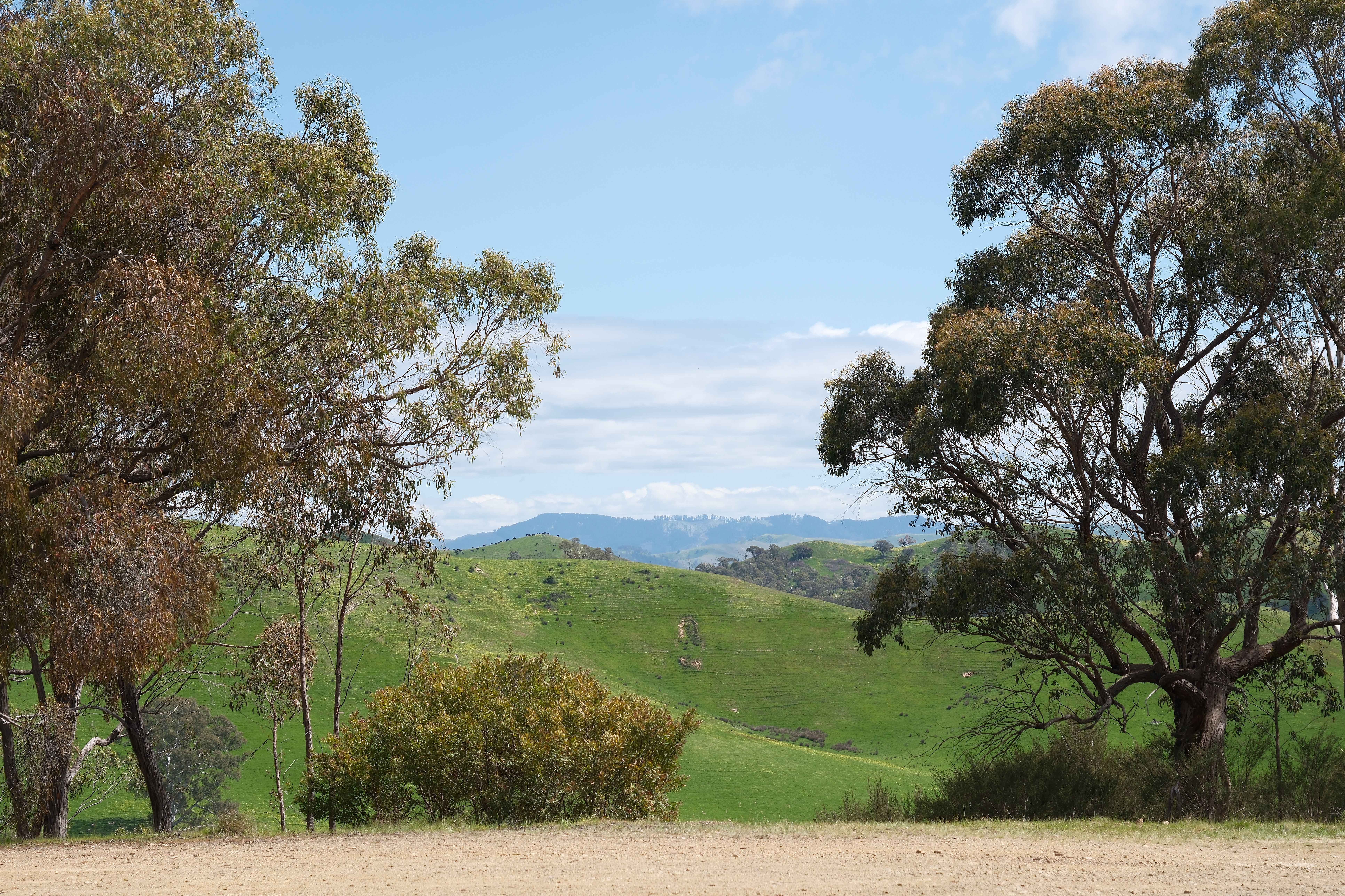 Scenic Landscape with Rolling Hills and Trees · Free Stock Photo