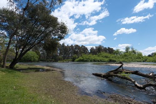 Free Tranquil river flowing amid lush greenery and a clear blue sky with white clouds. Stock Photo