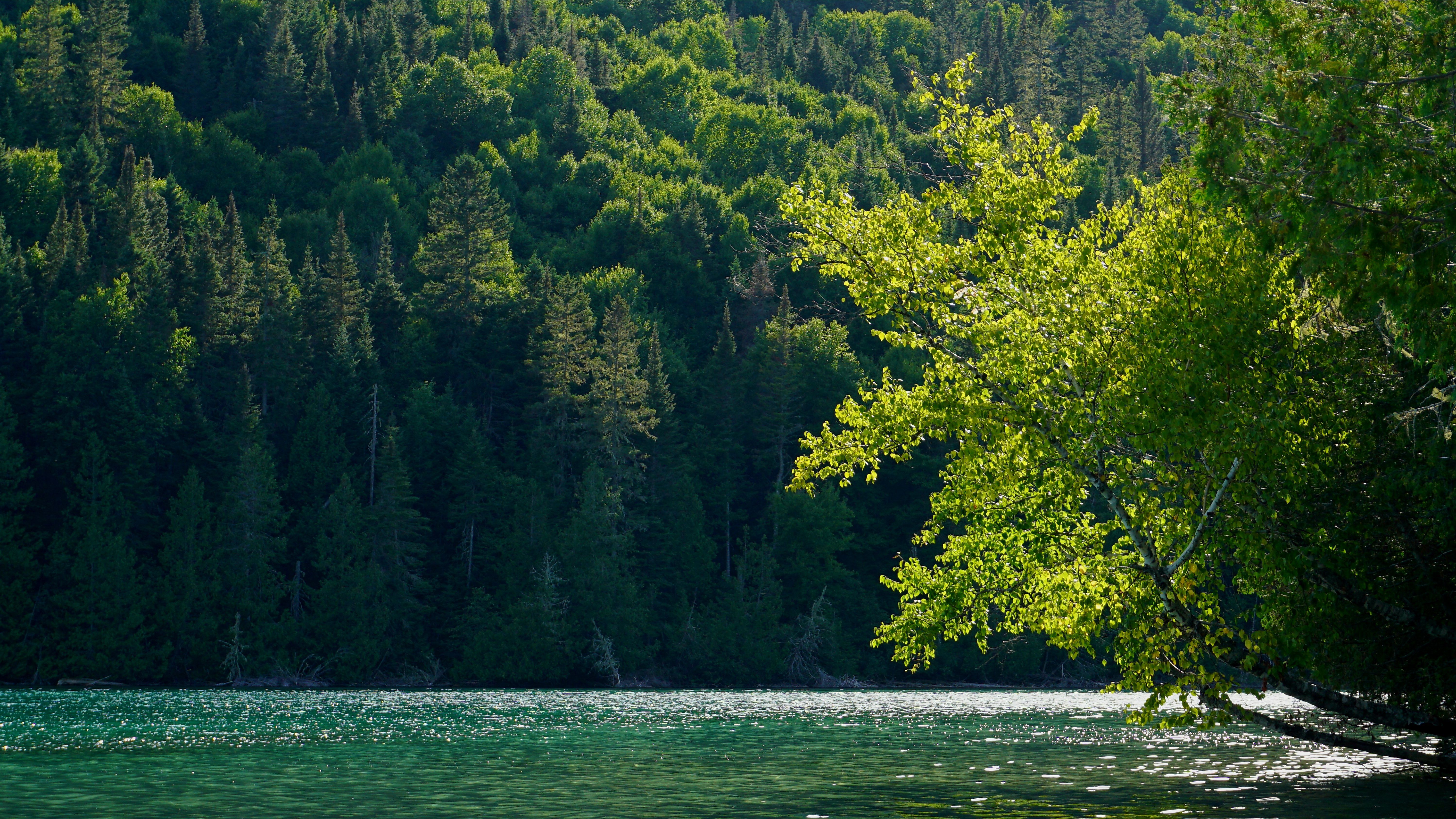 Long Lake Agrees to Acquire American Express Global Business Travel, the World’s Largest Corporate Travel Platform, for $6.3 