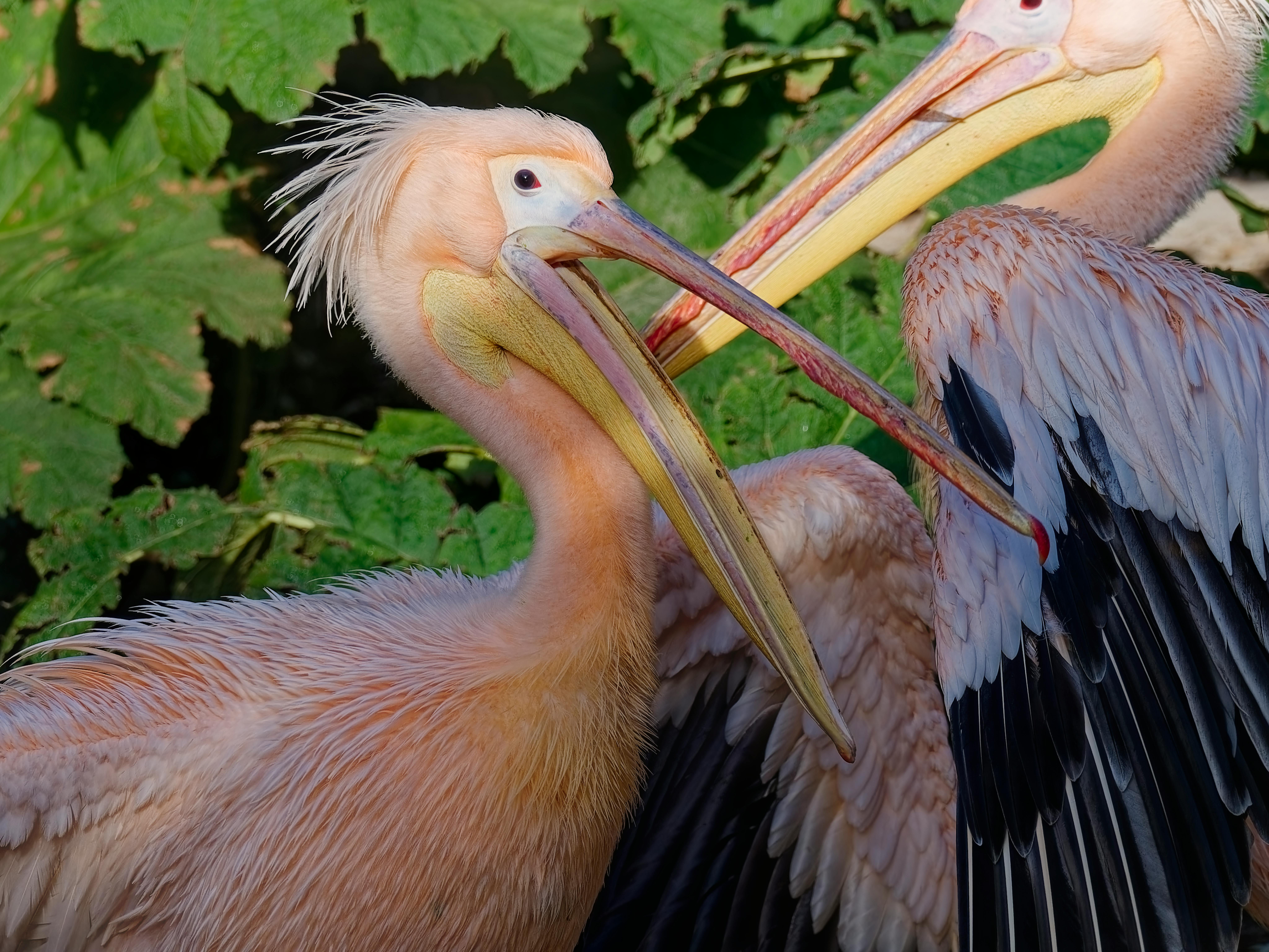 Secret Locations for Rare Species