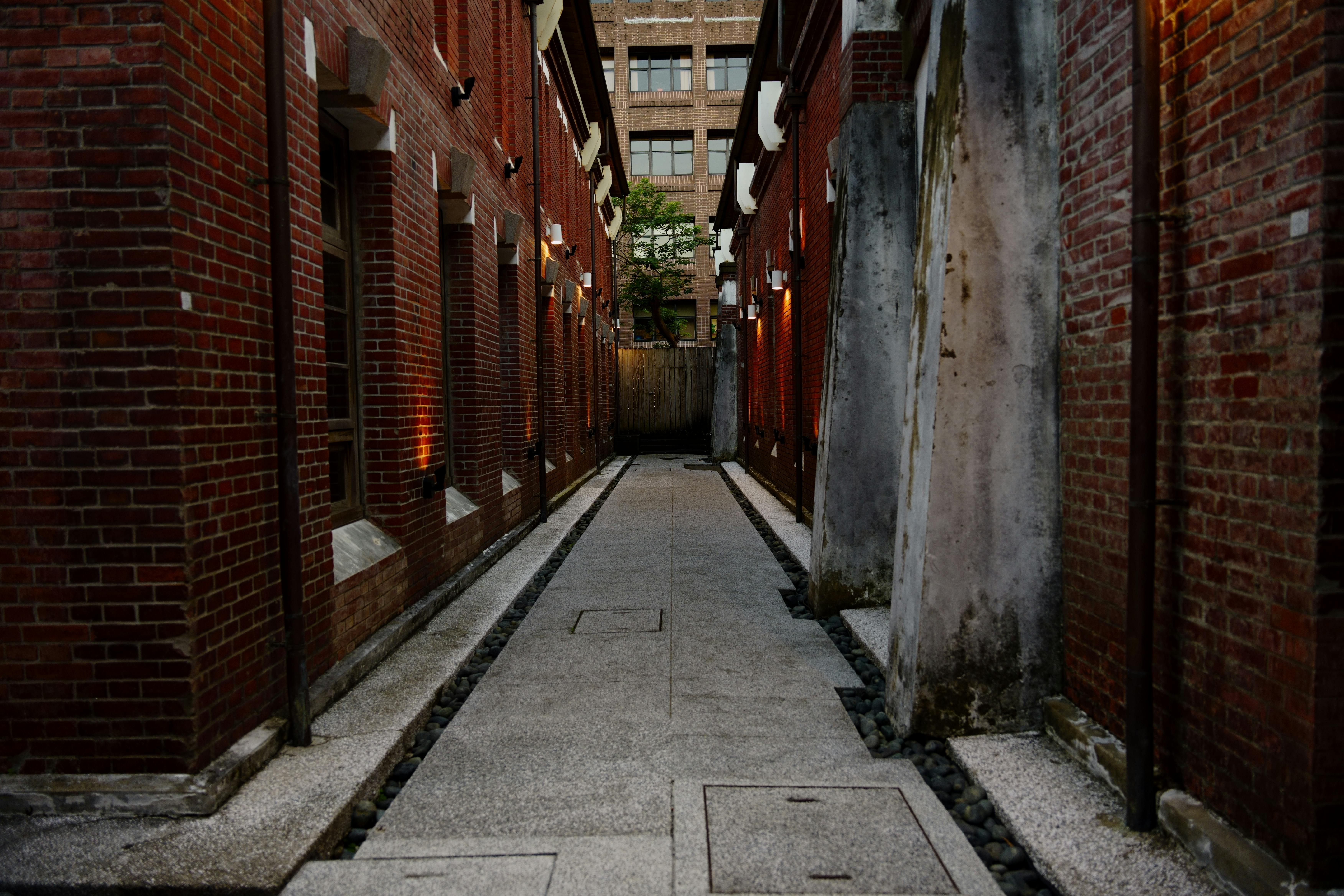 台彩盈餘用途大揭秘！全台受惠驚呆了！🎉