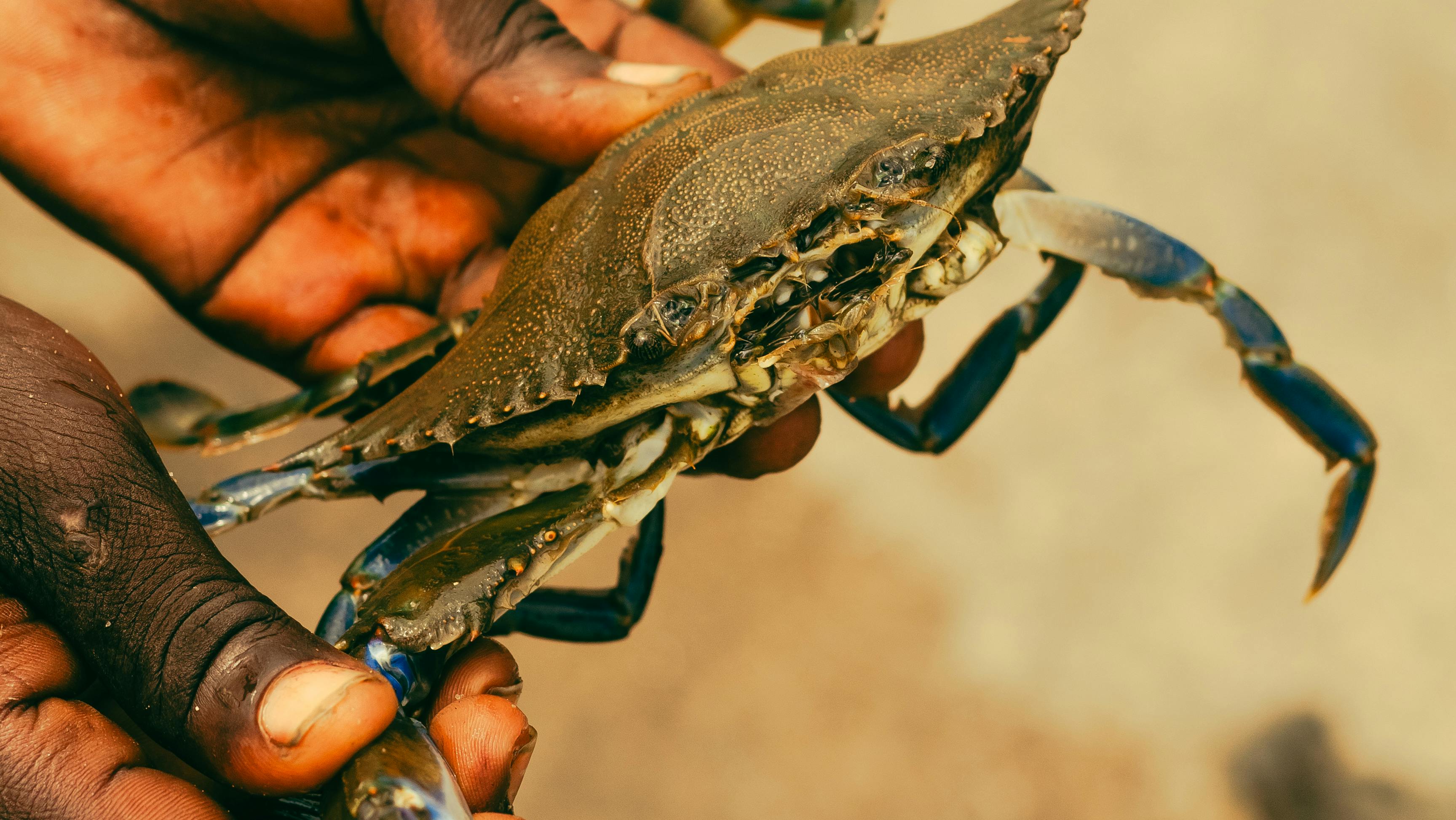 10月19日五大財經焦點搶先看，掌握市場先機