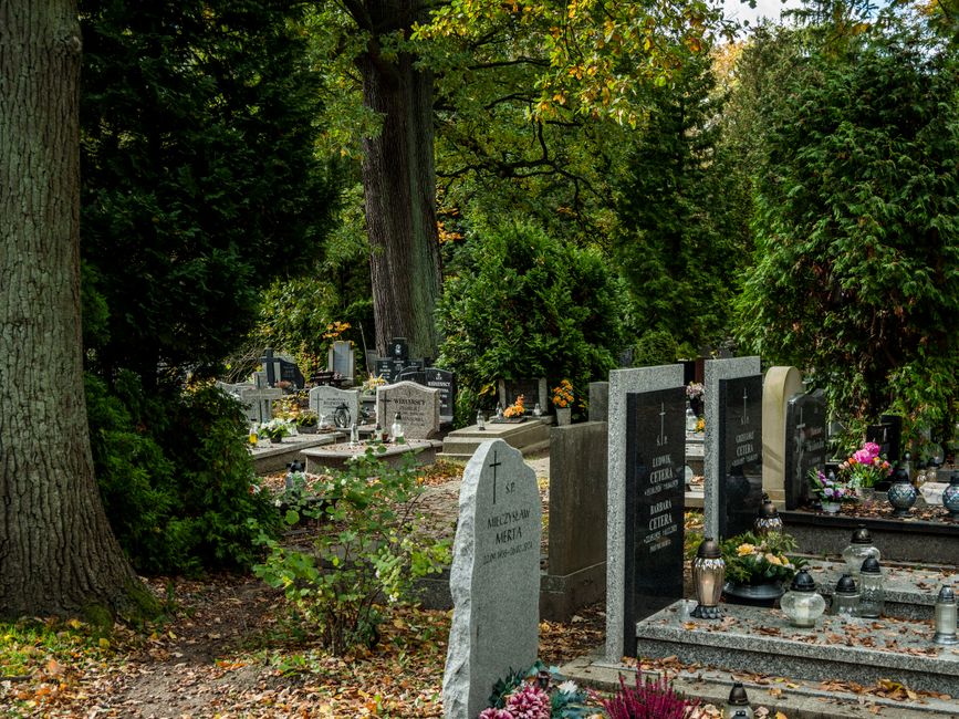 Cimetière paisible avec pierres tombales, cadre serein pour choisir un monument funéraire