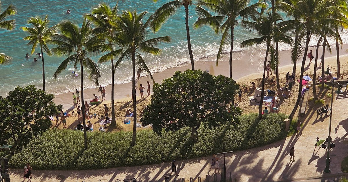 Photo by Jose Deguelle A stunning aerial view of Waikiki Beach with palm trees and a vibrant shoreline in Honolulu, Hawaii.