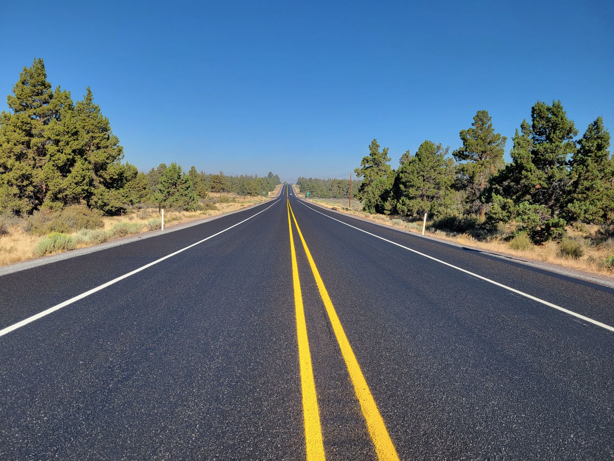 A long stretch of highway through a pine forest in Bend, Oregon, under a clear blue sky.