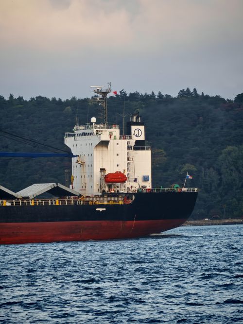 Free A large cargo ship sailing on a calm sea with a forested shoreline in the background. Stock Photo