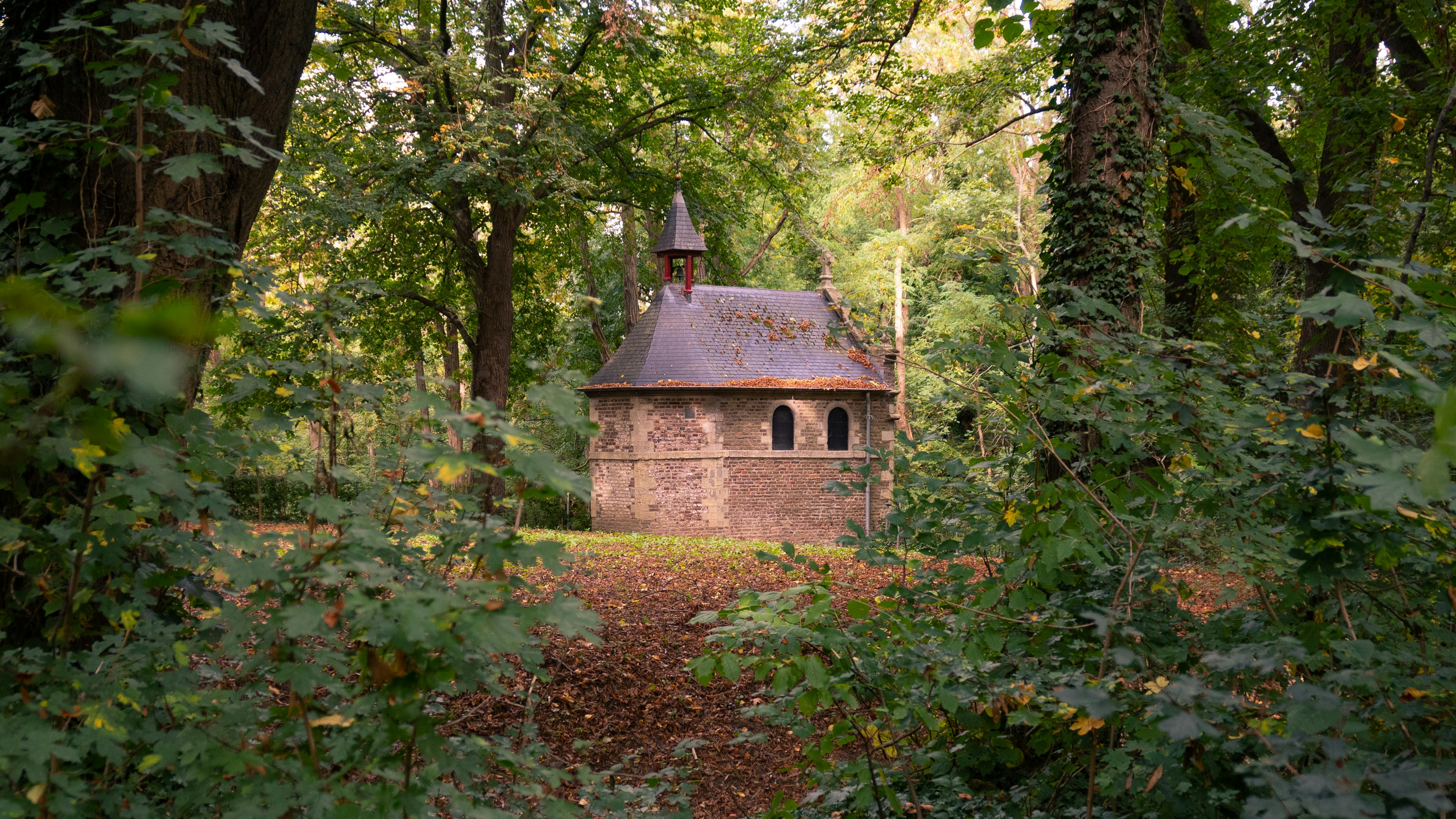 高雄陽明生活圈福鑫無雙 都更綠建築智慧耐震宅亮相