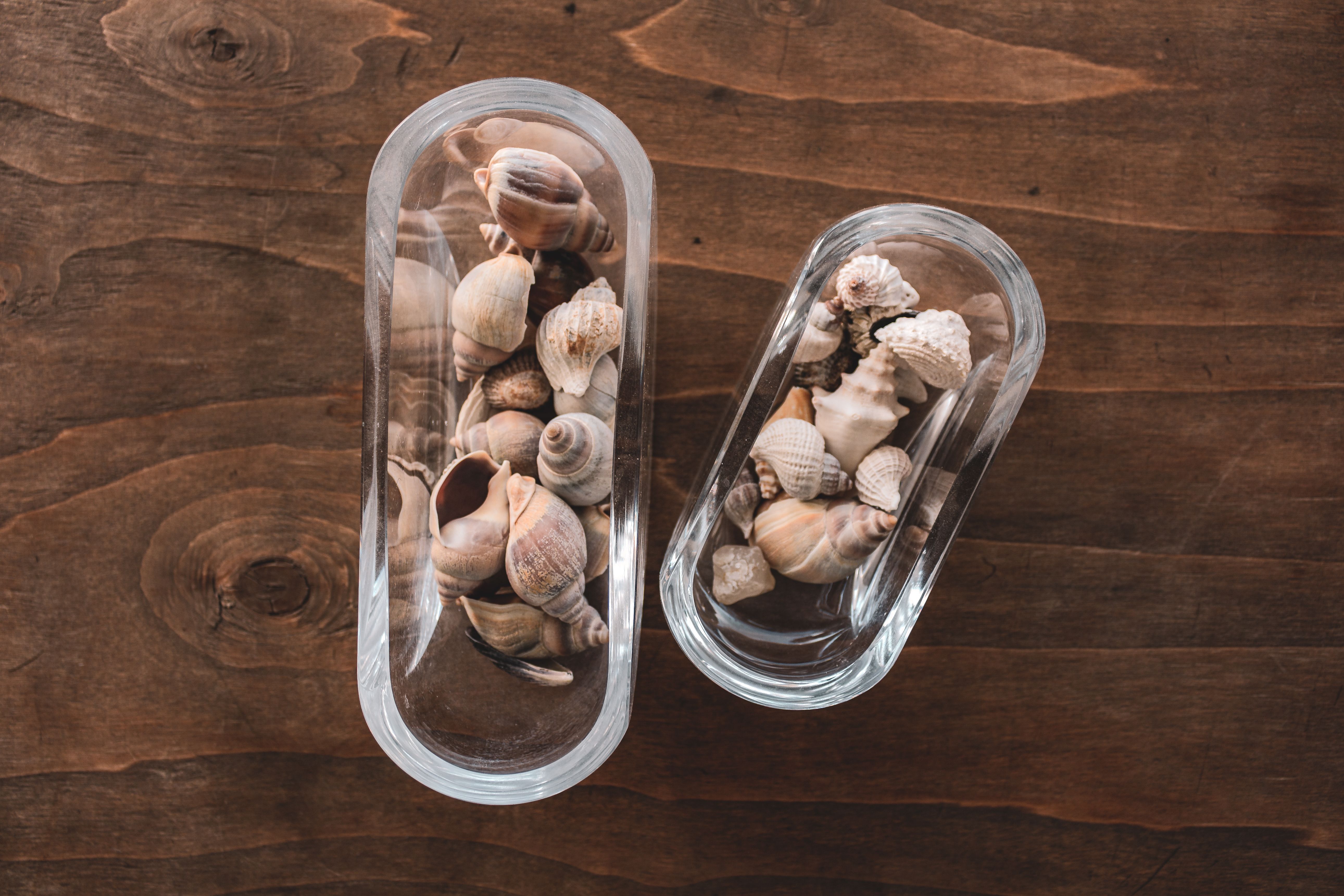 Kostenlos Draufsicht auf Muscheln in Glasbehältern auf einem Holztisch, perfekt für eine von der Natur inspirierte Dekoration. Stock-Foto