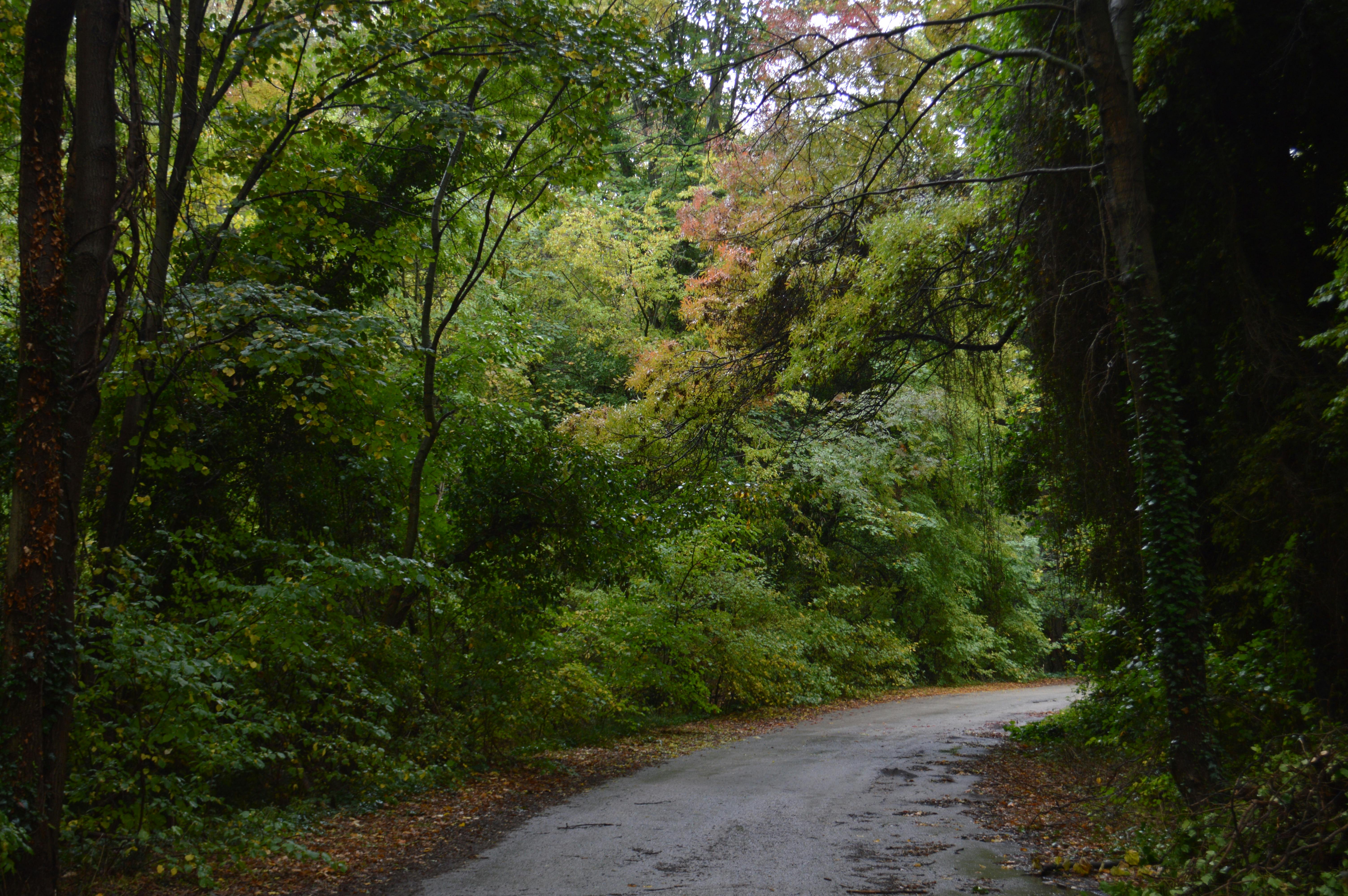 Effective Mitigation Strategies for Climate Change