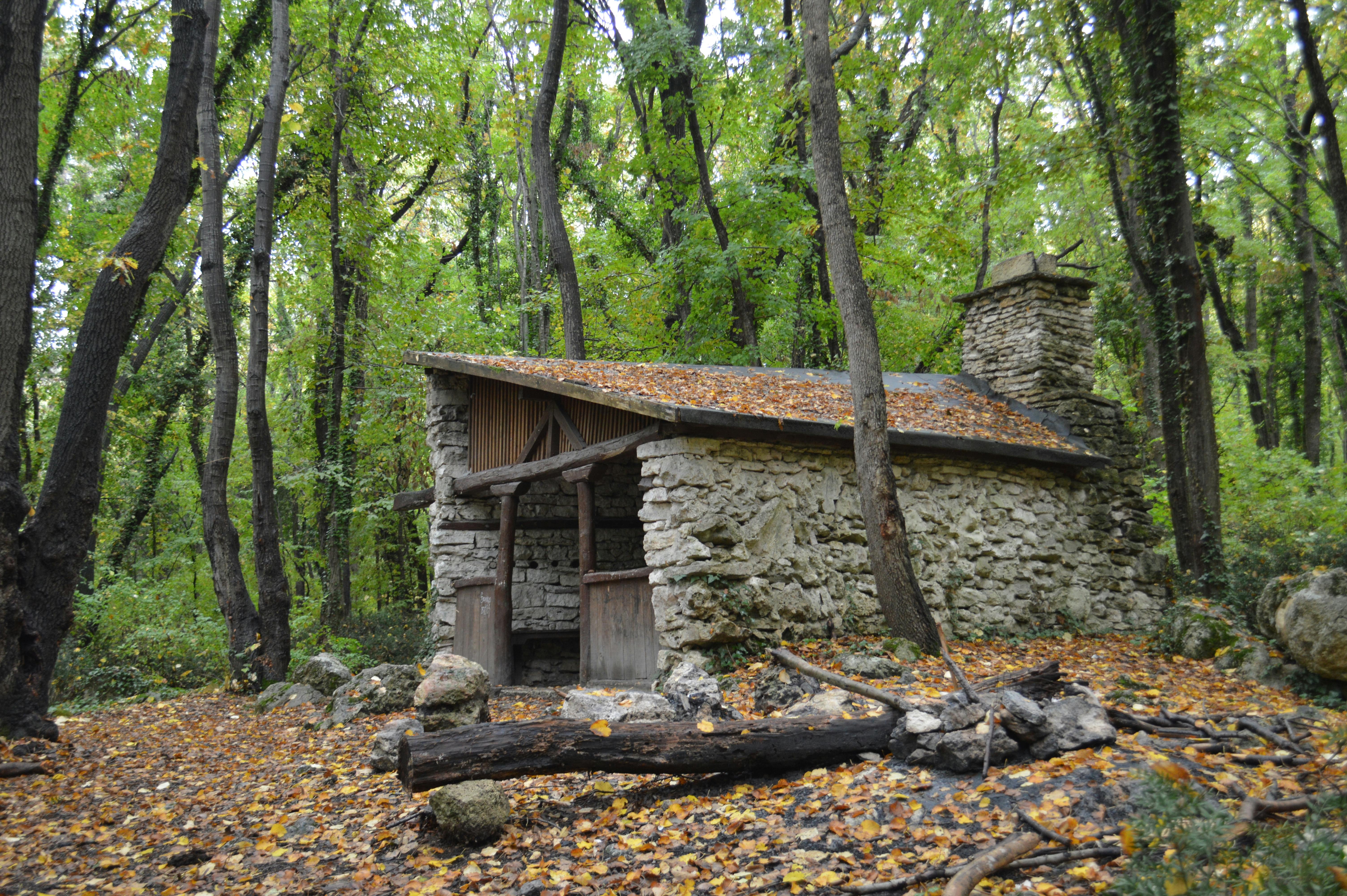 Healthy Living Tips for Your Daily Routine