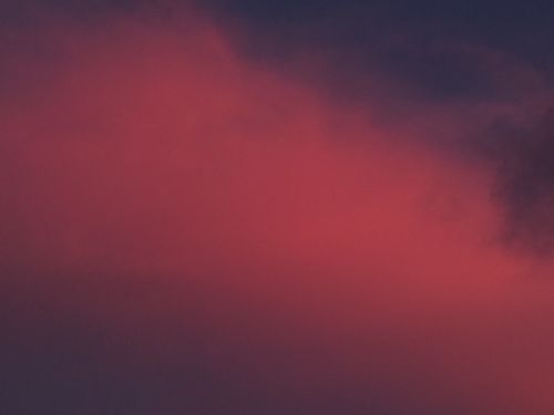 Free Natural Gradient  Stock Photo