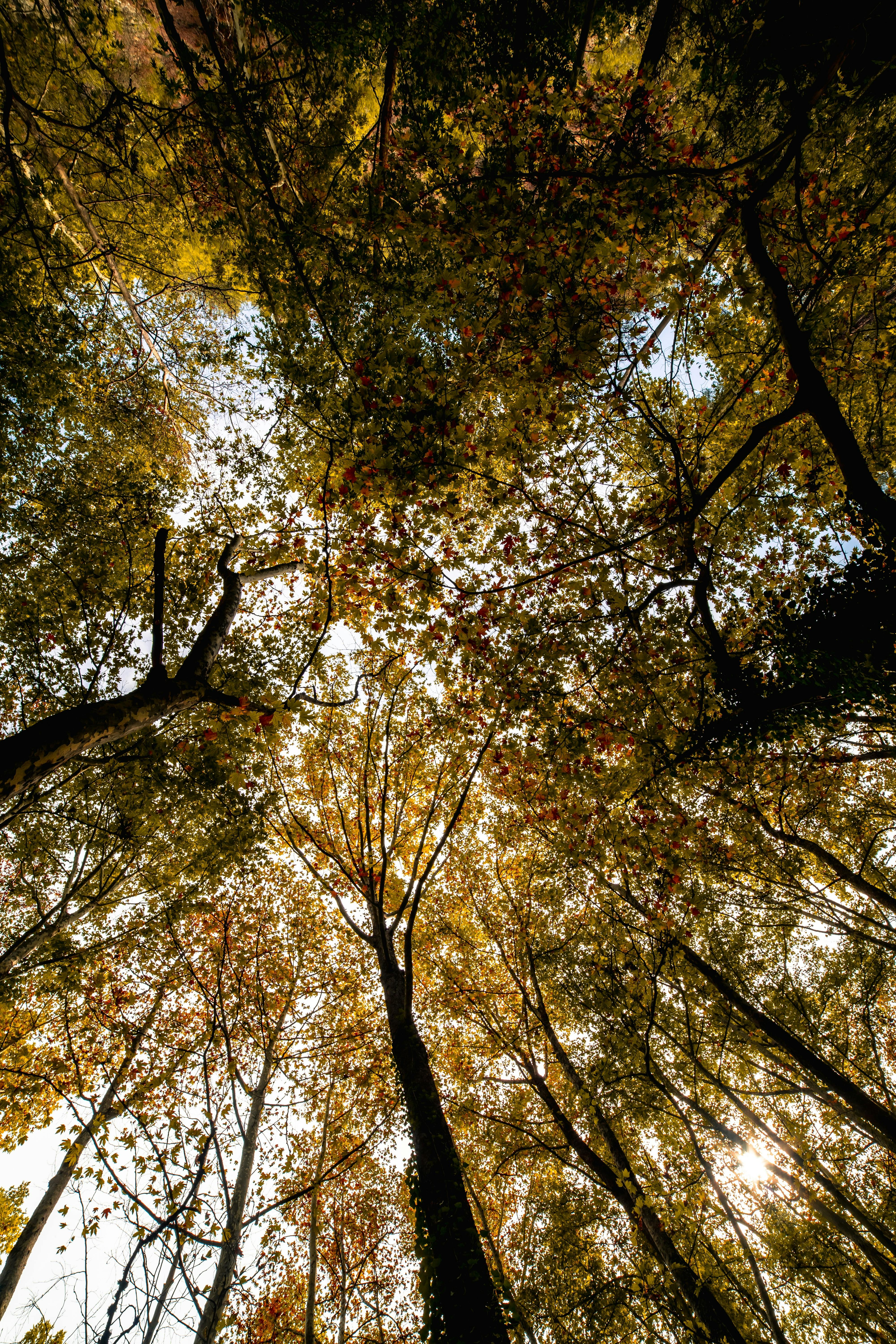 Travelodge Bristol Cribbs Causeway: Your Ultimate Stay Awaits! 1 Discover the Top 5 Reasons to Choose Travelodge Bristol Cribbs Causeway for Your Next Getaway