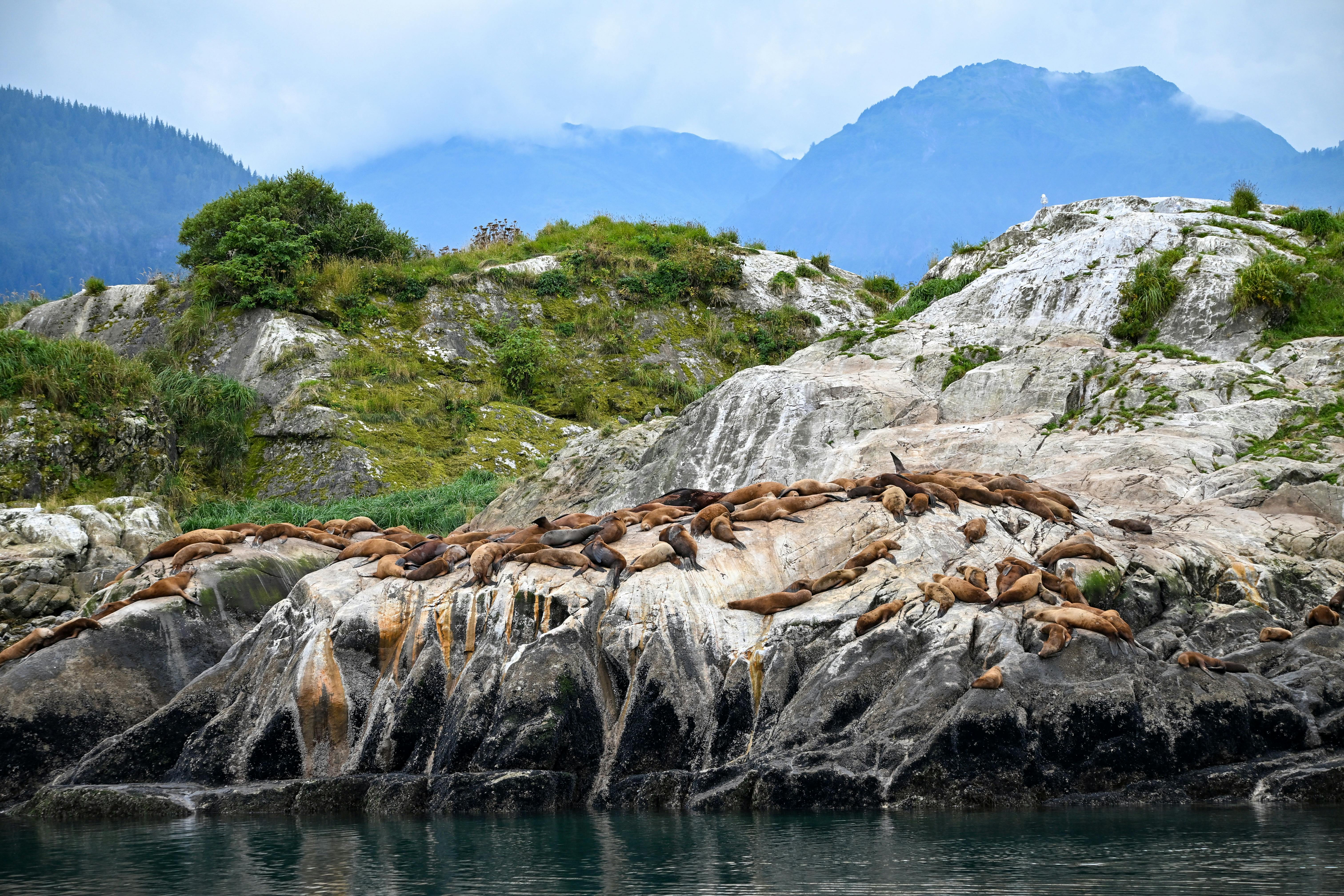 Preserving Endangered Languages: A Path to Cultural Diversity