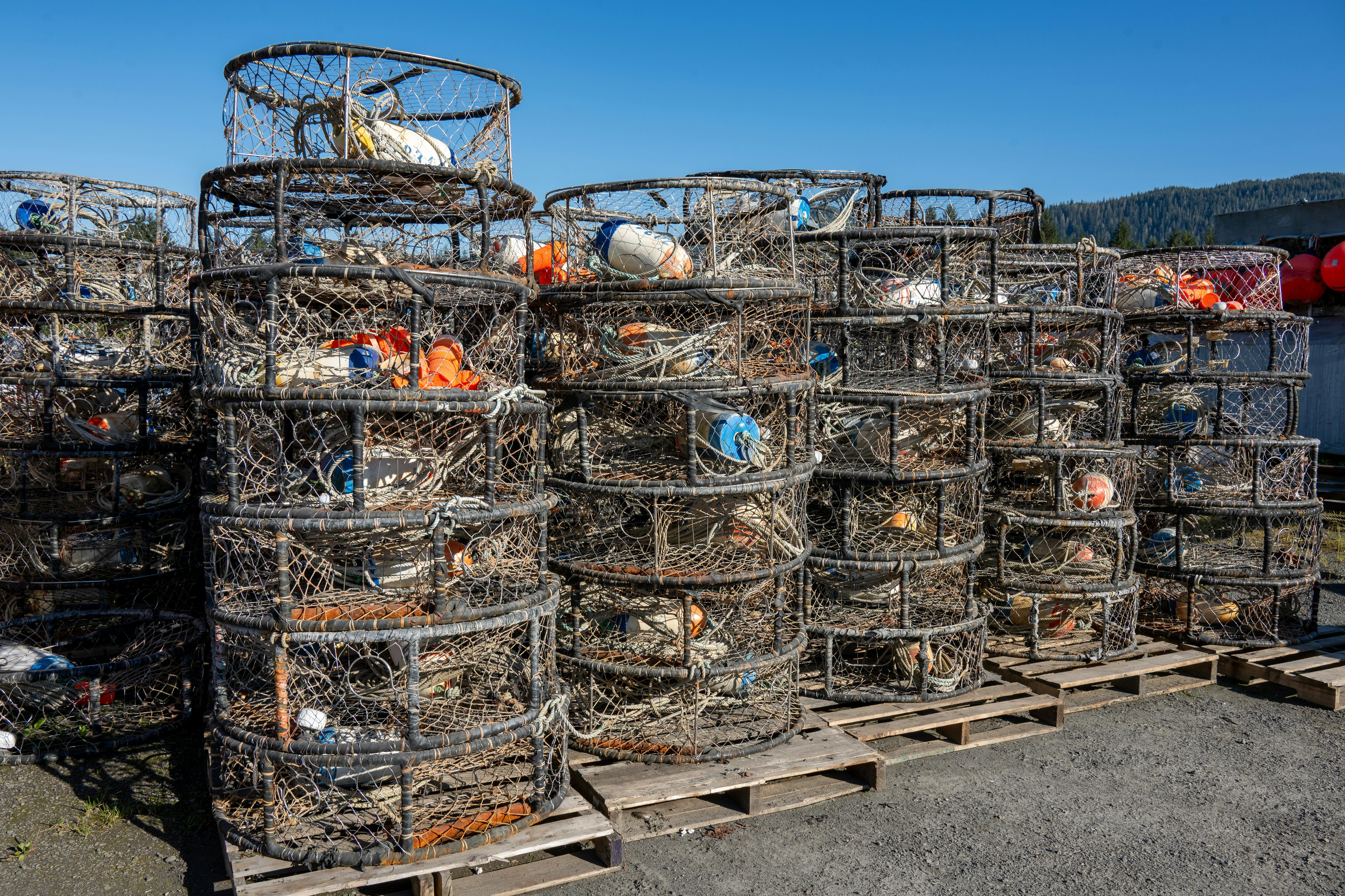 Fly Fishing in Alaska