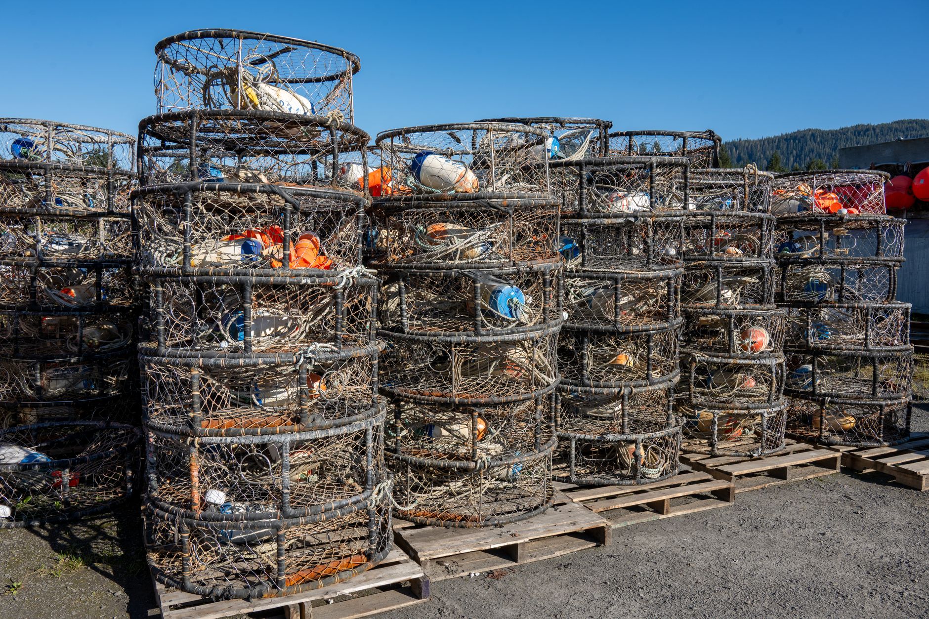 Crab pots stacked at a commercial dock in Petersburg, Alaska, reflecting local fishing industry.