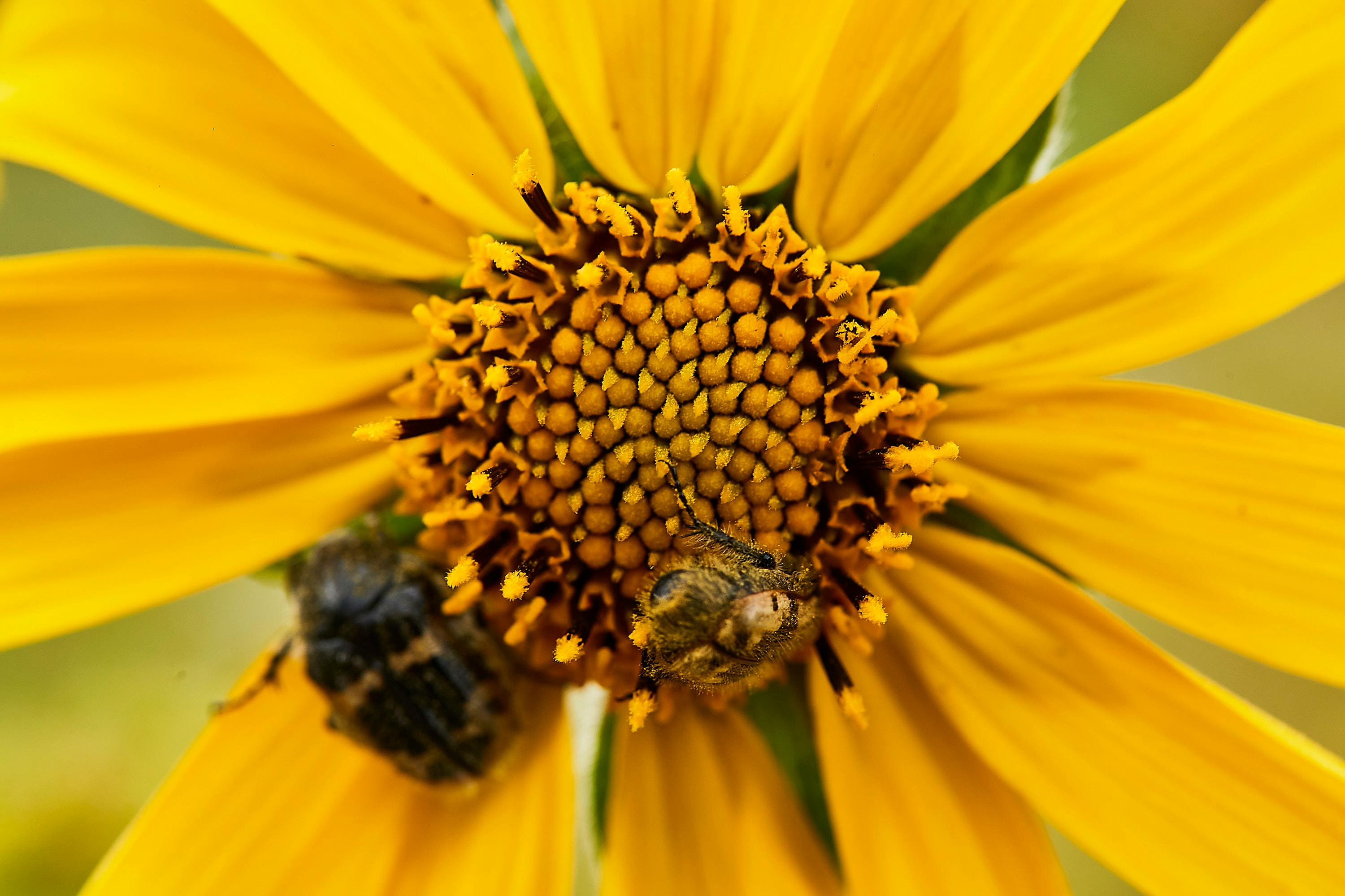 寰宏農業科技雲林農機展推買T50植保機送發電機優惠