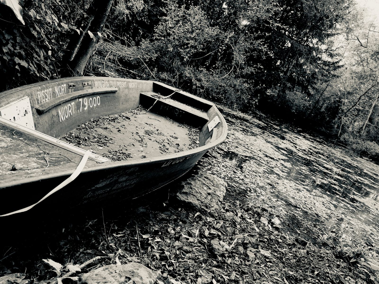 Abandon