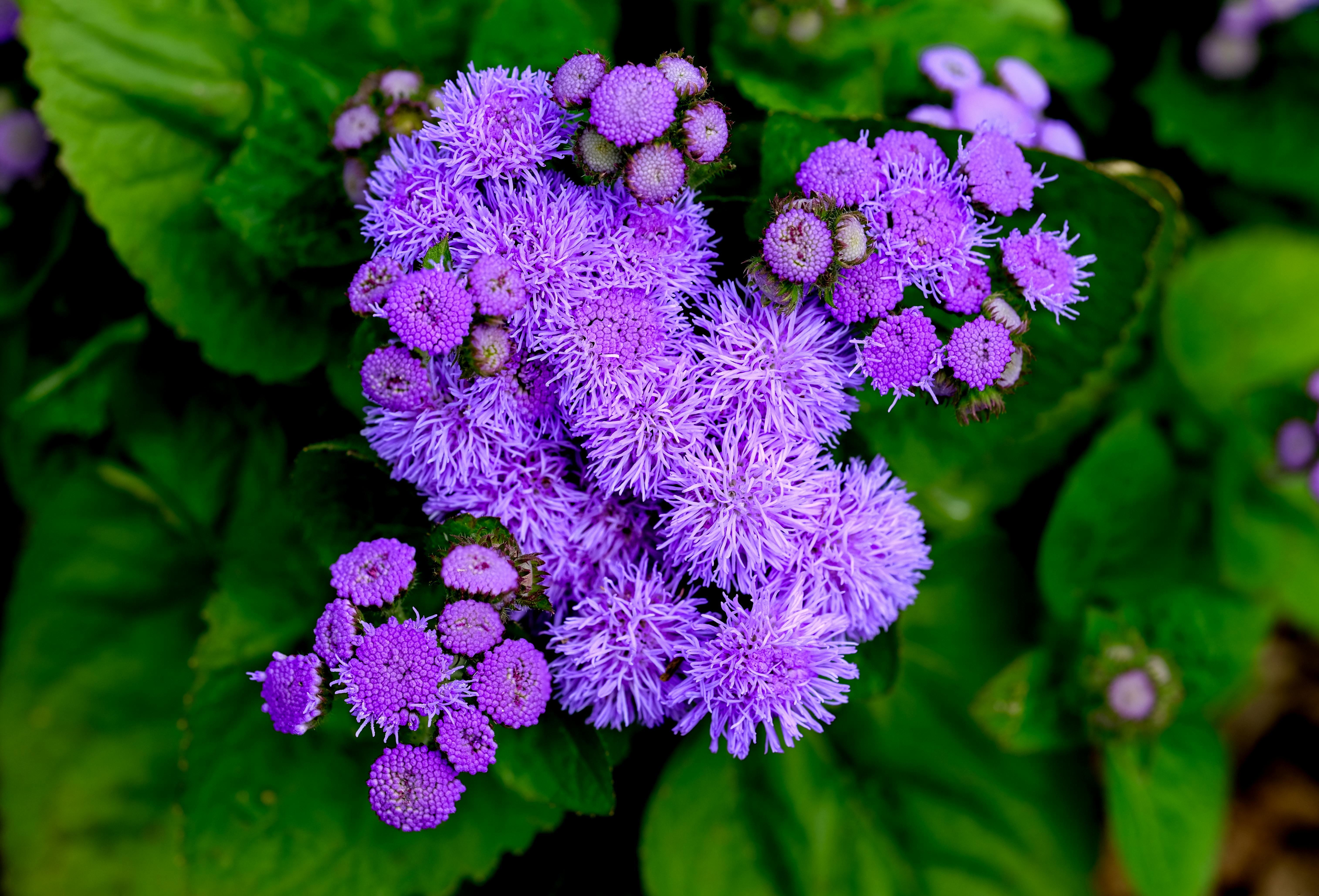 Transform Everyday Routines into Groundbreaking Opportunities