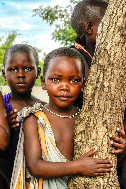 Free A group of children gather around a tree, symbolizing unity and innocence in a rural setting. Stock Photo