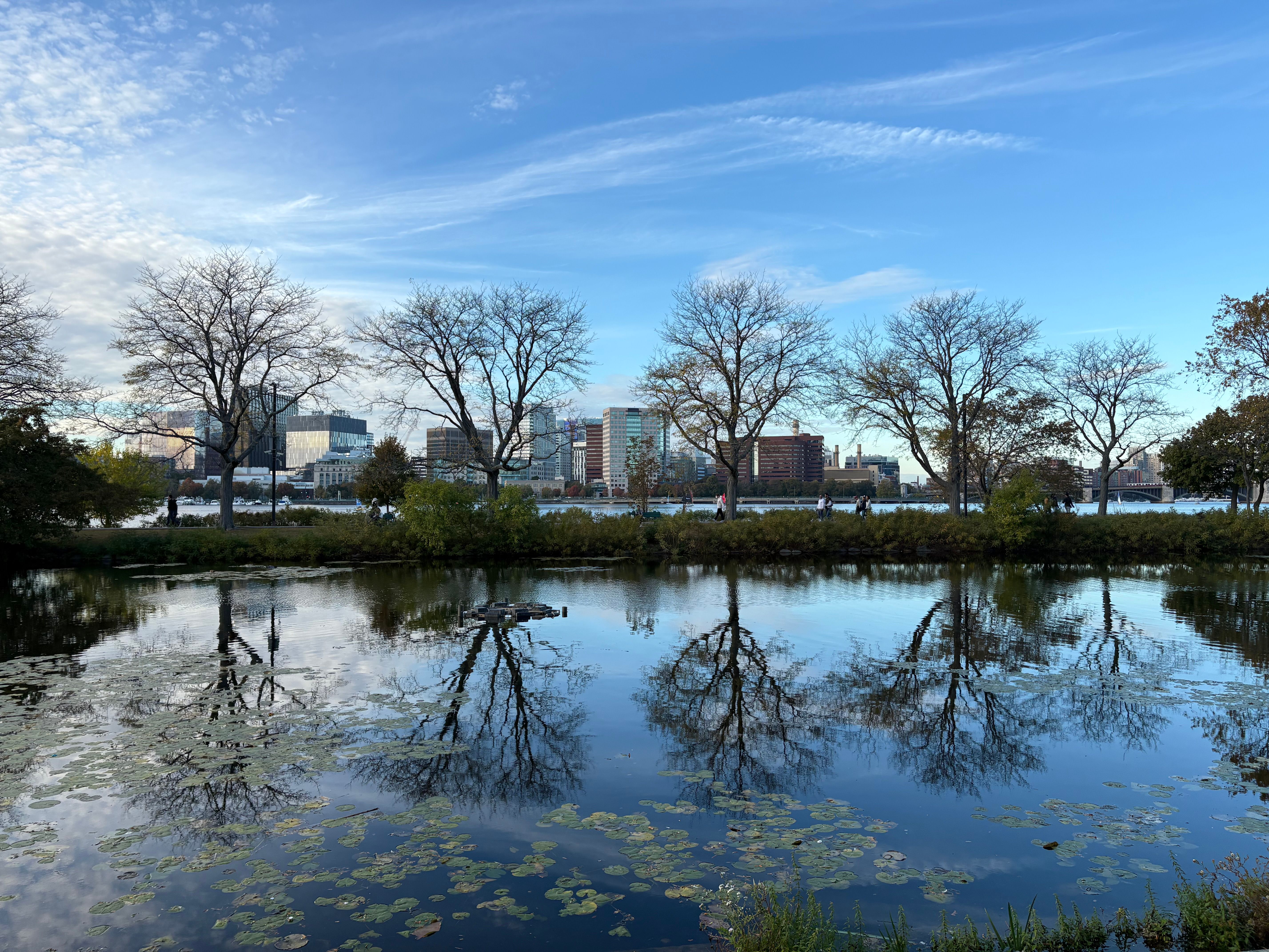 Boston river