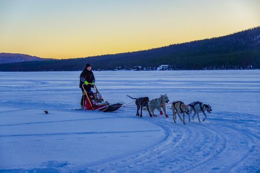 Dog sledding (winter) — Churchill