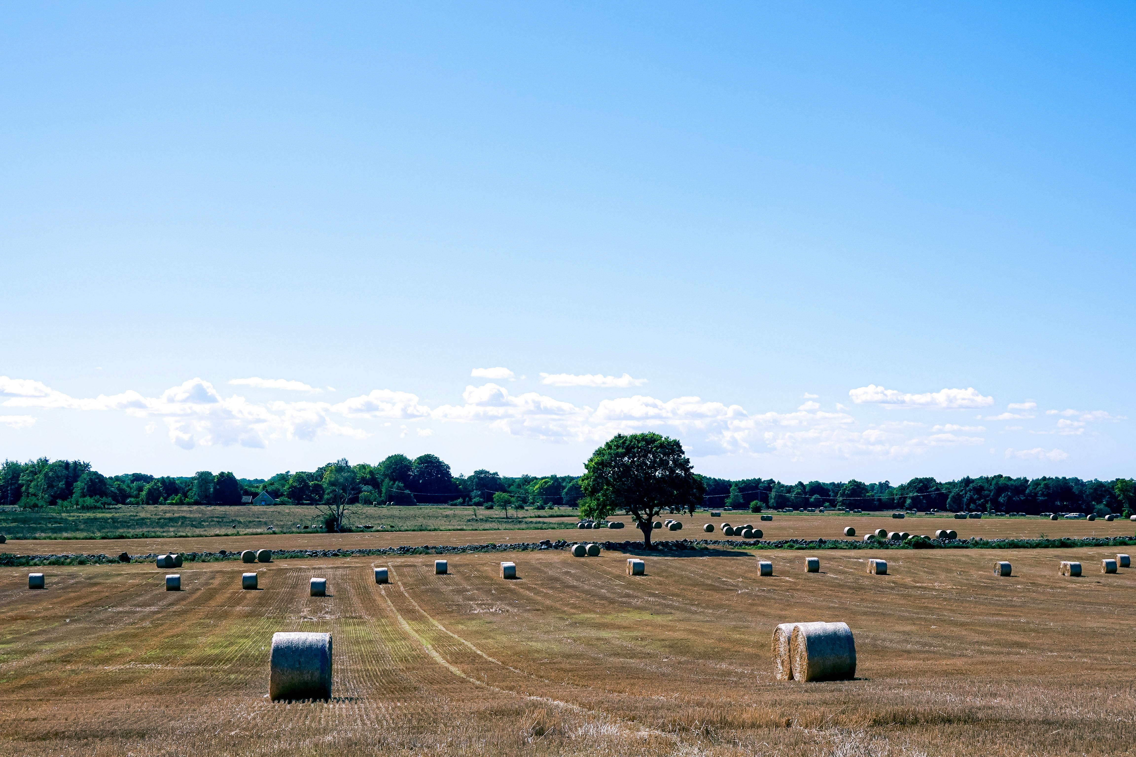 Qué son los workers en FastAPI y cómo aumentarlos