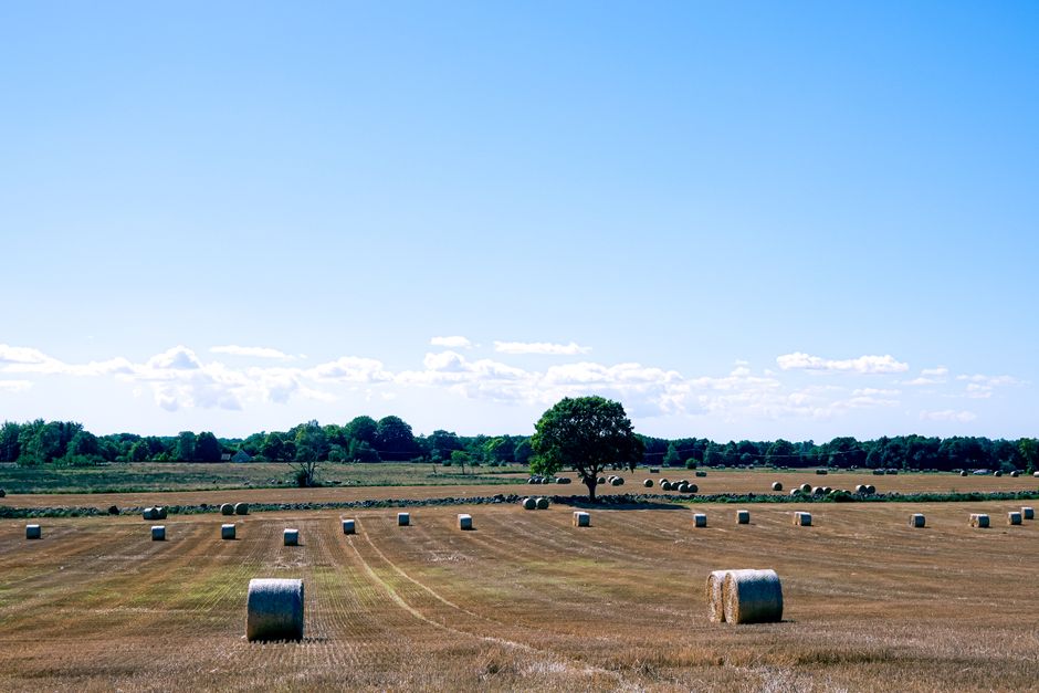 Peaceful rural scene featuring hay bales under a clear blue sky, perfect for nature and agriculture themes.