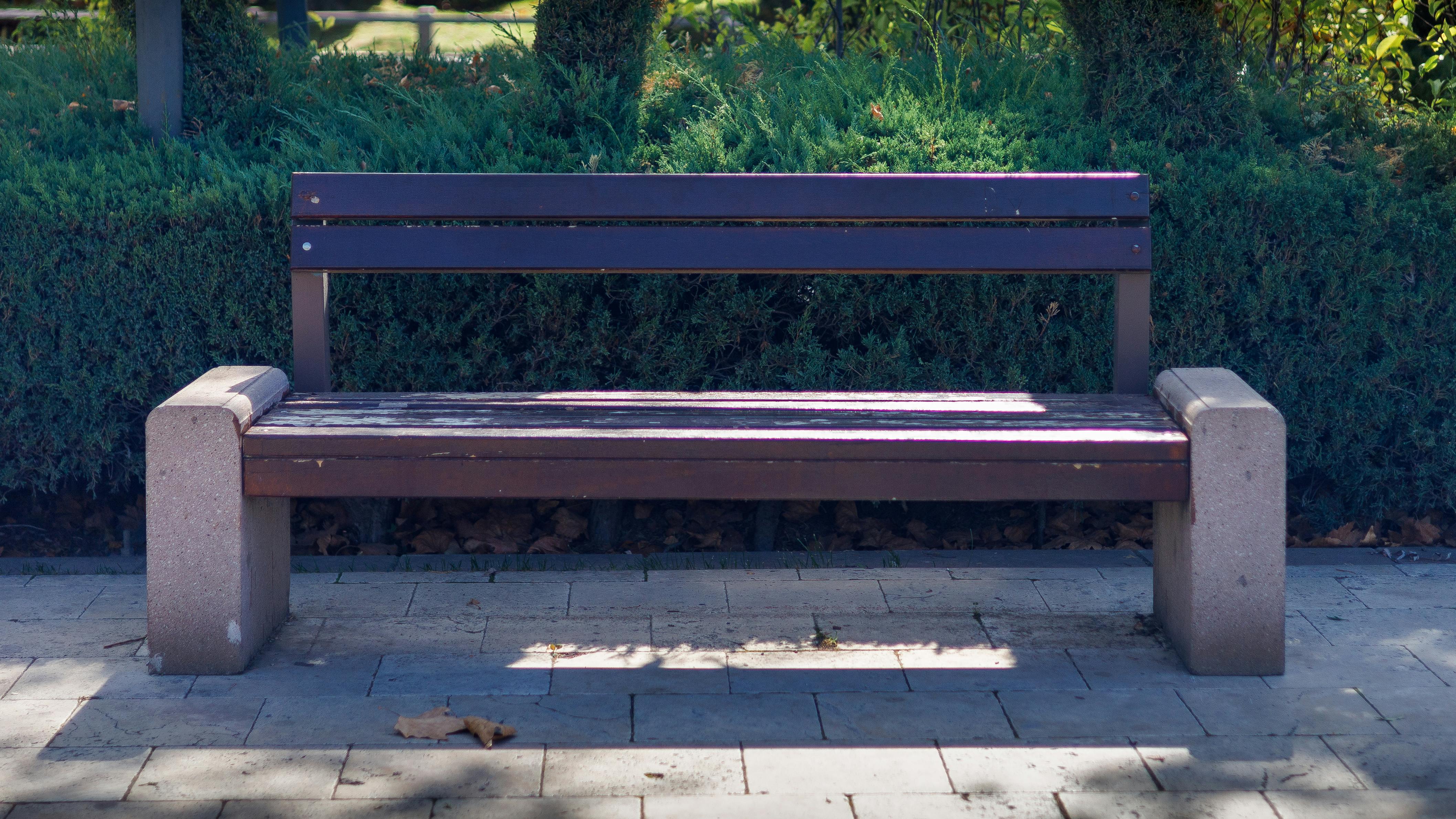 The ultimate outdoor workout: all you need is a park bench — Photo by Abdulkadir Emiroğlu on Pexels