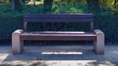 Free Wooden park bench in a sunlit garden, surrounded by lush green bushes. Stock Photo