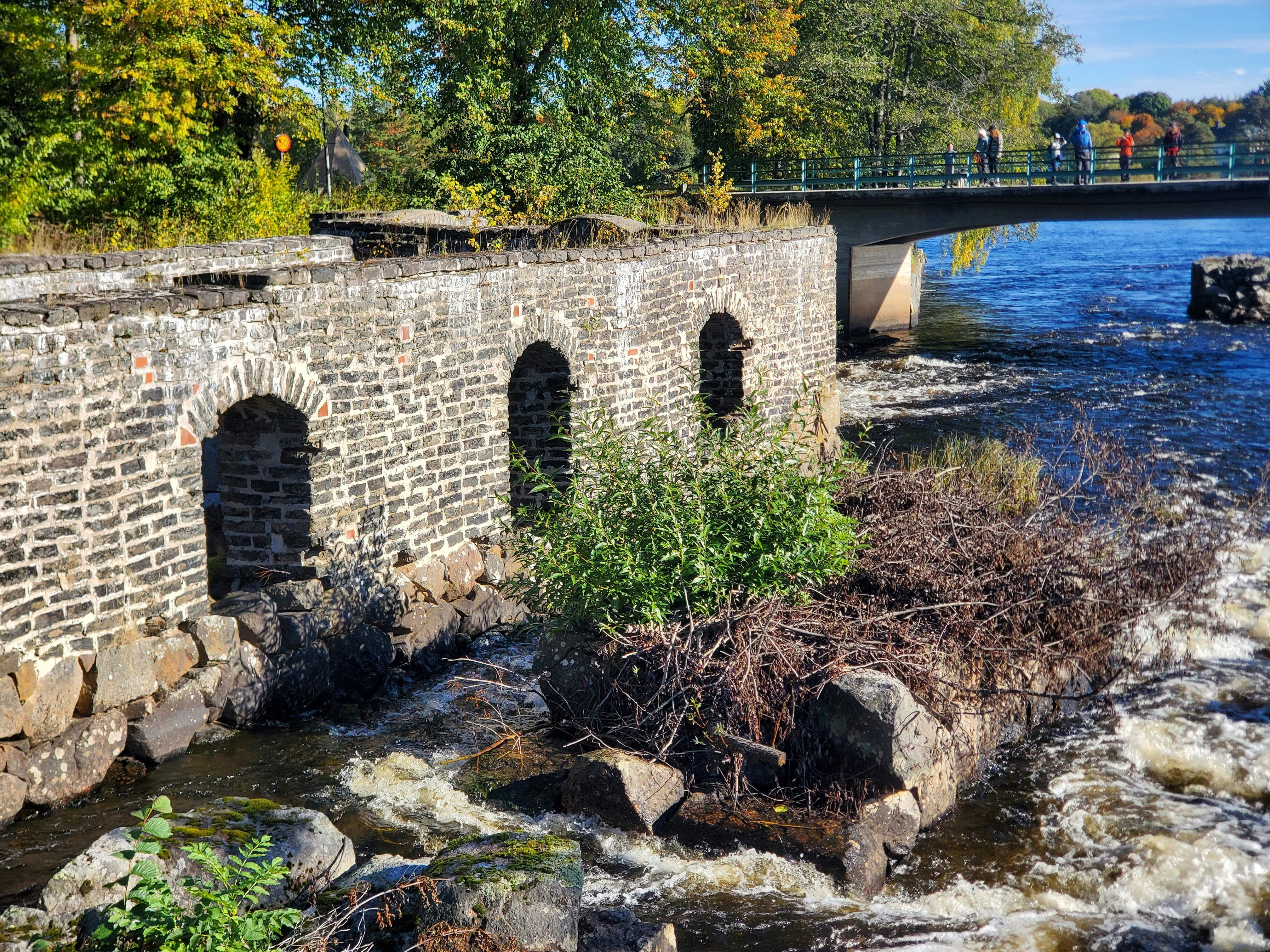 財經：年過50歲加勞保難？關鍵因素一次解析