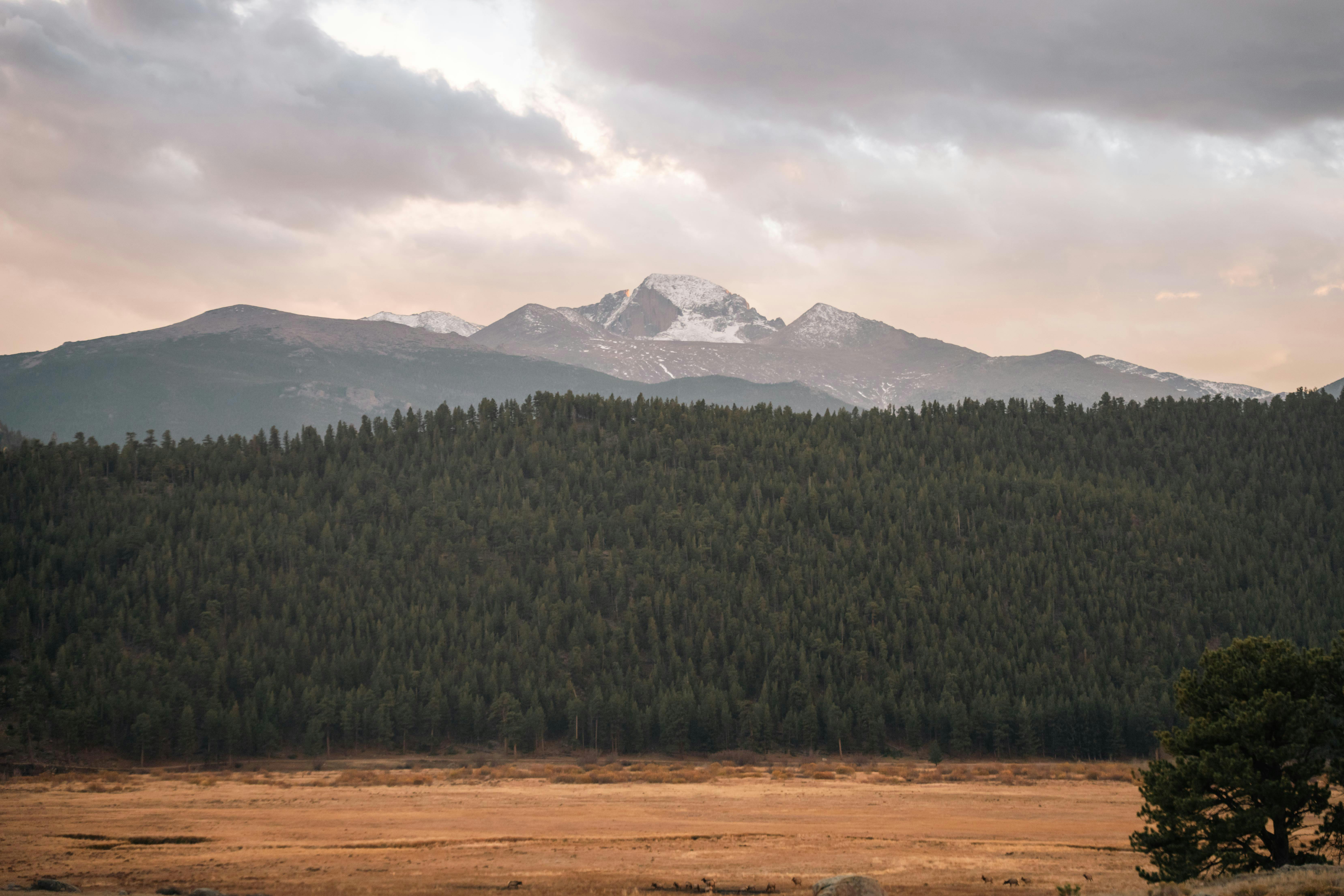 Revolutionary Tech for Peak Performance: Unlock Your Full Potential