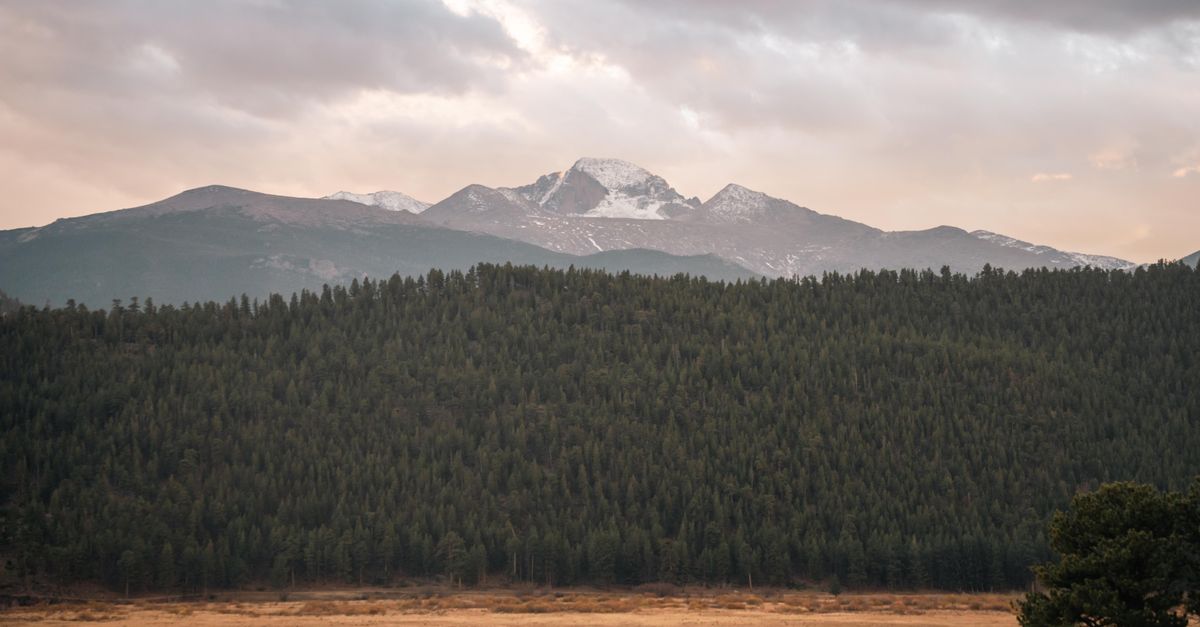Panoramic view of forested mountains with snow-capped peaks at sunset in a serene setting.