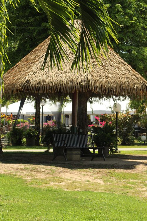Free A serene tropical garden featuring a wooden thatched gazebo surrounded by lush vegetation and colorful flowers. Stock Photo