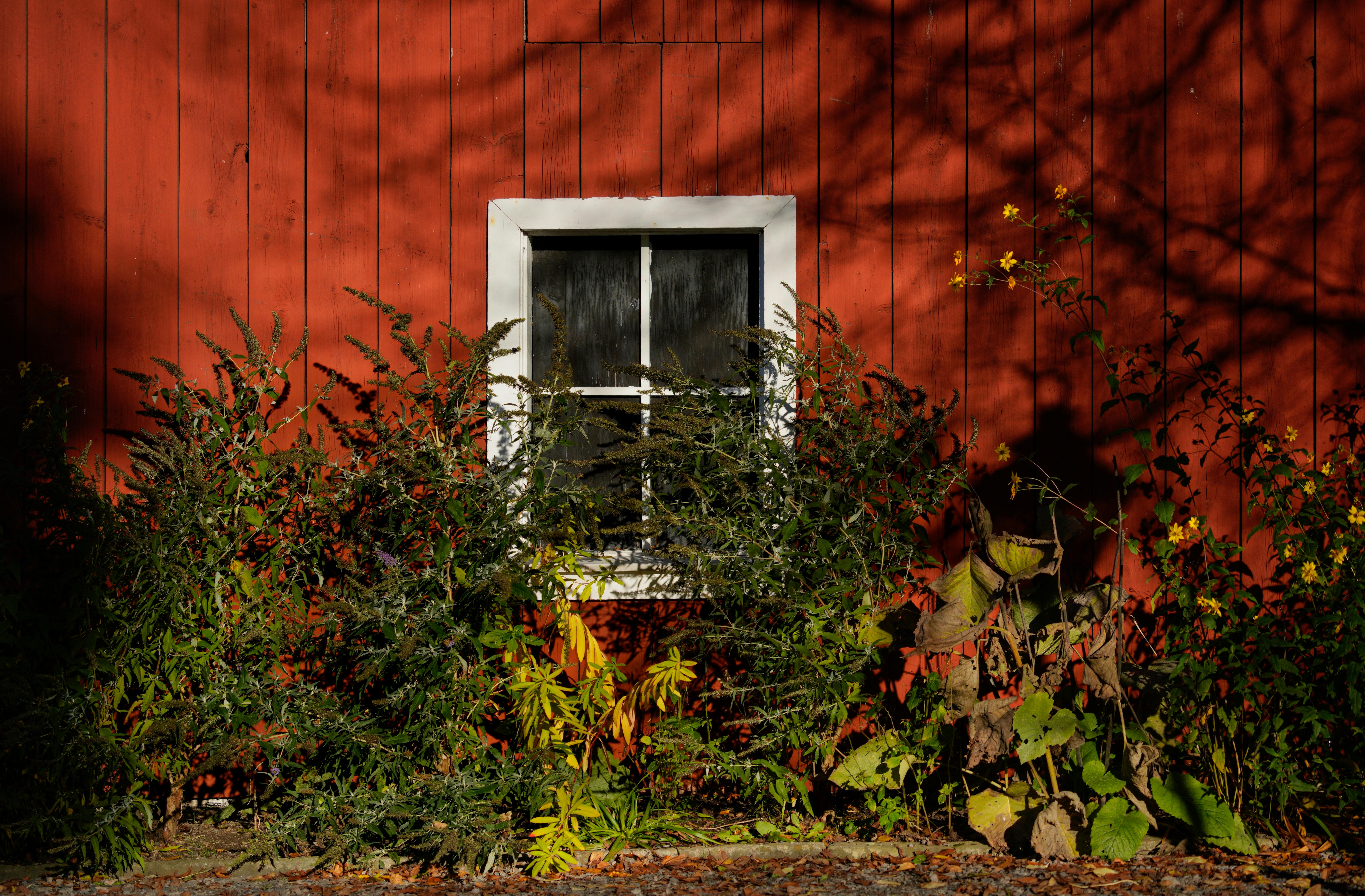 Essential Sustainable Living Tips for a Greener Future