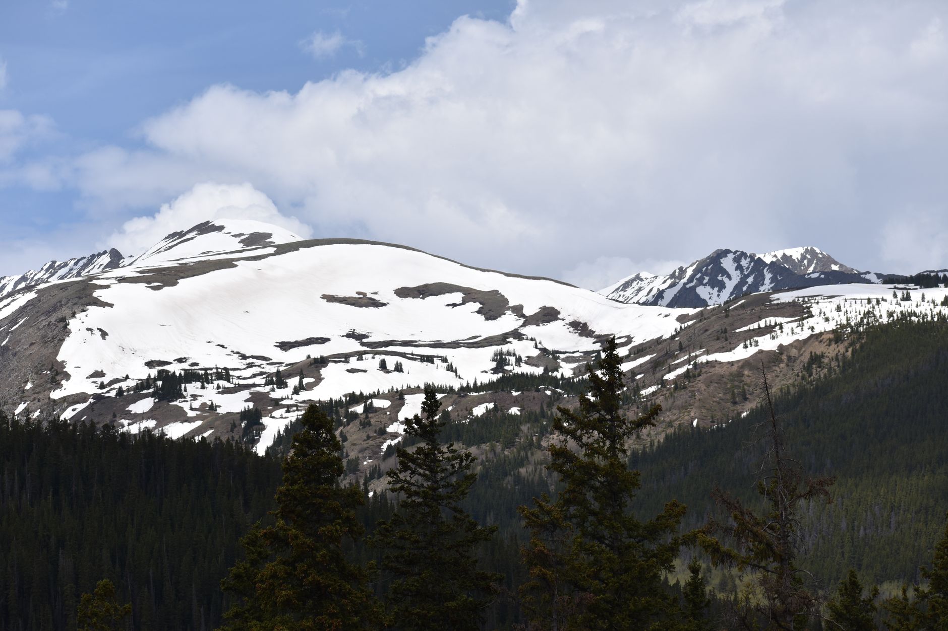 Colorado - Tiny Homes